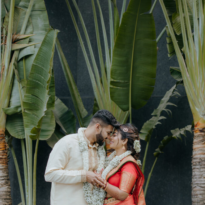 vipul-sasha-thumbnail