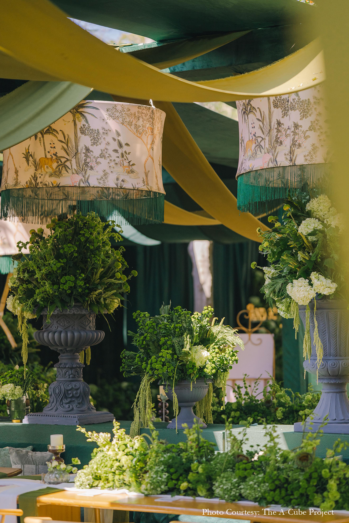 Diya and Dhruv, Udaipur