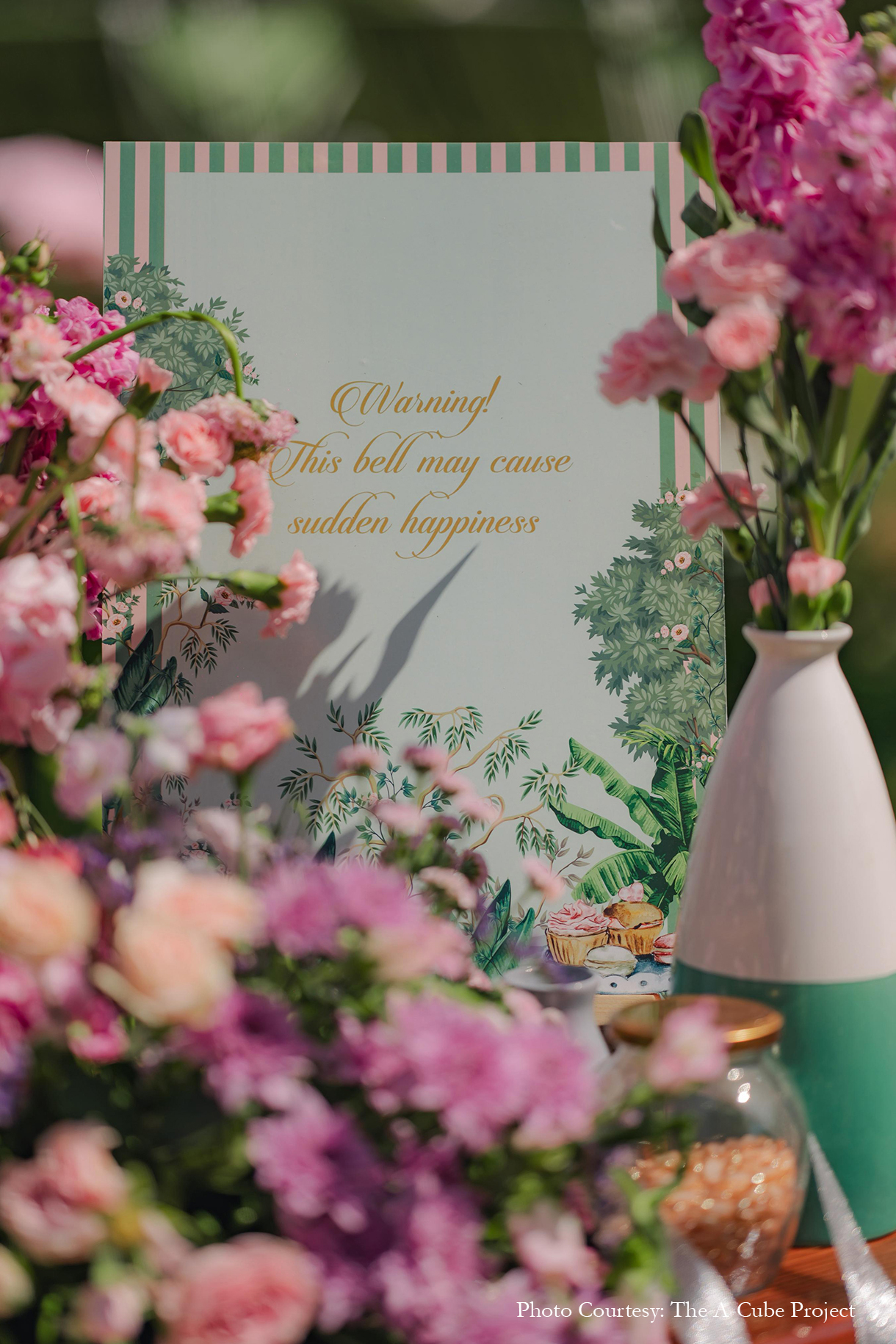 Diya and Dhruv, Udaipur