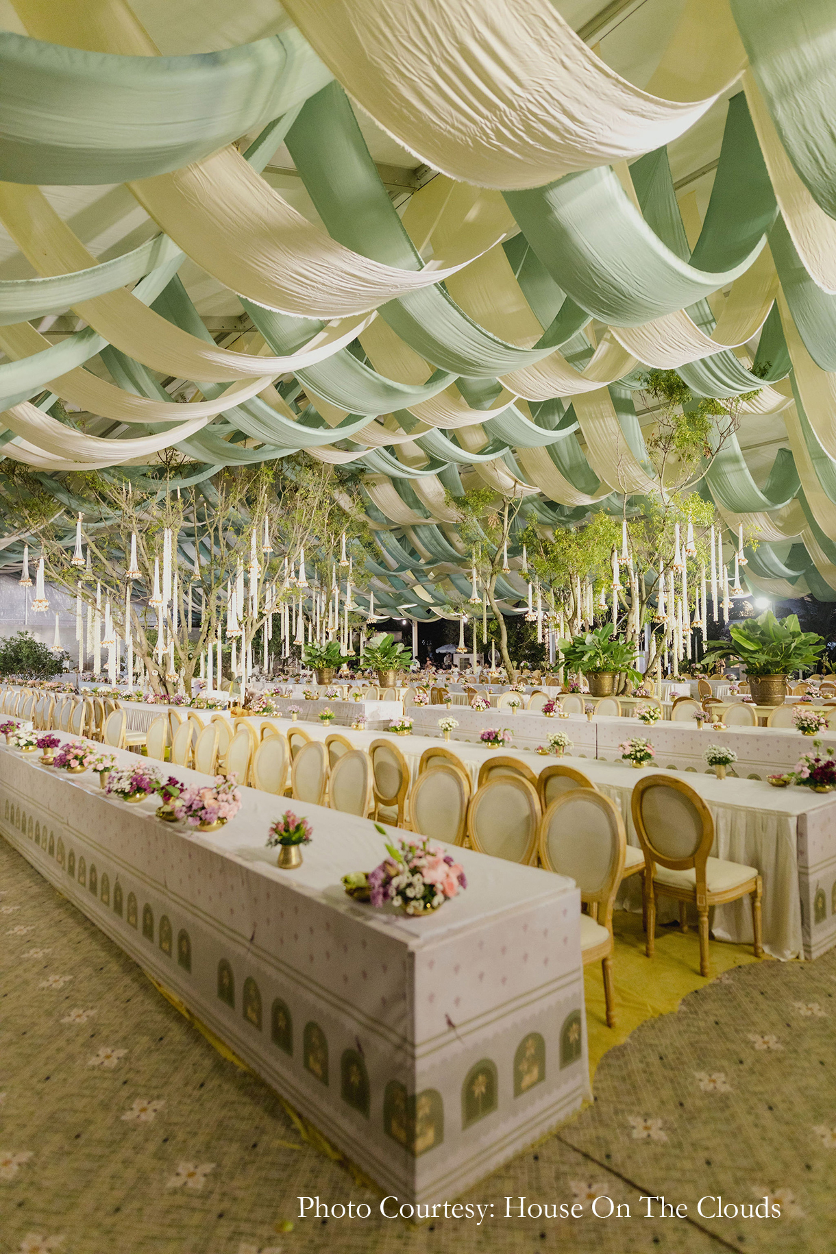A wedding, an ancestral land, and a dream come true