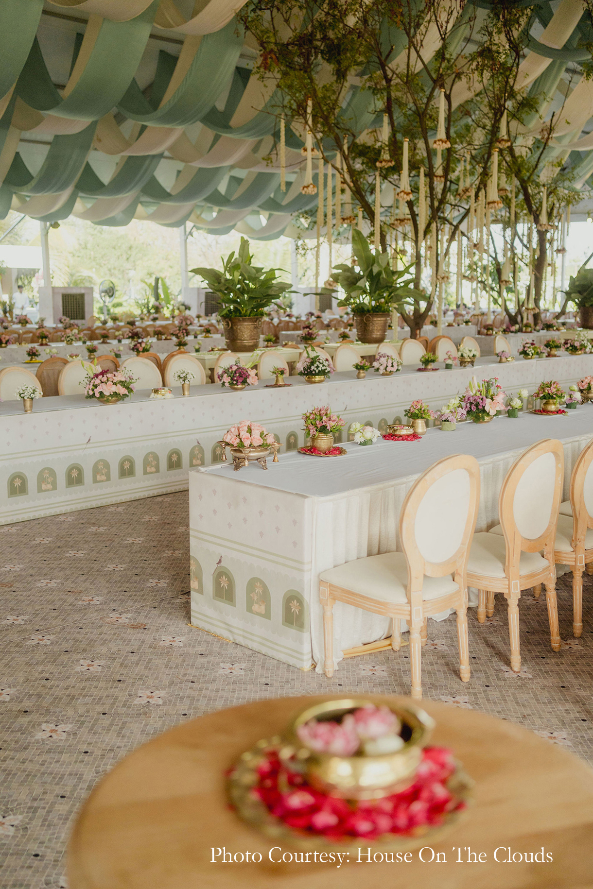 A wedding, an ancestral land, and a dream come true