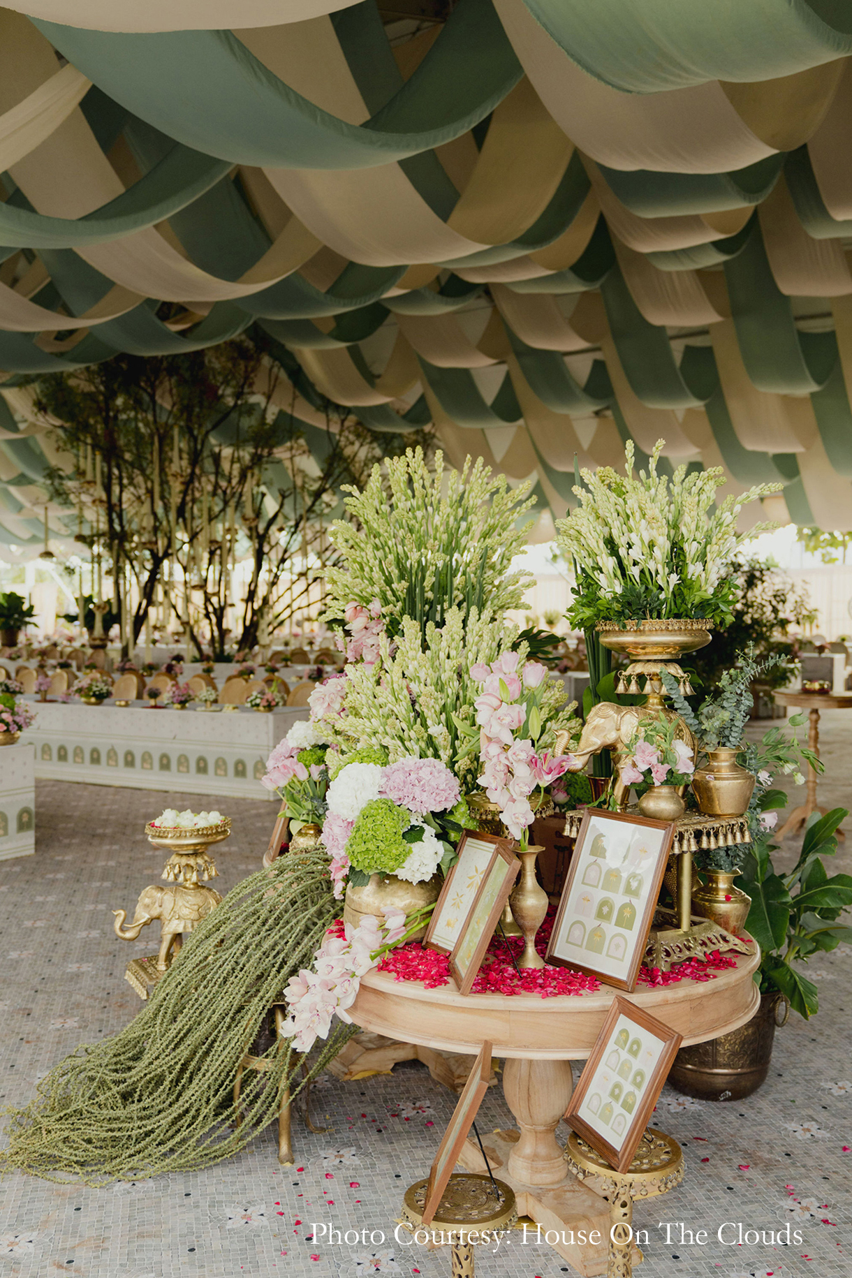 A wedding, an ancestral land, and a dream come true