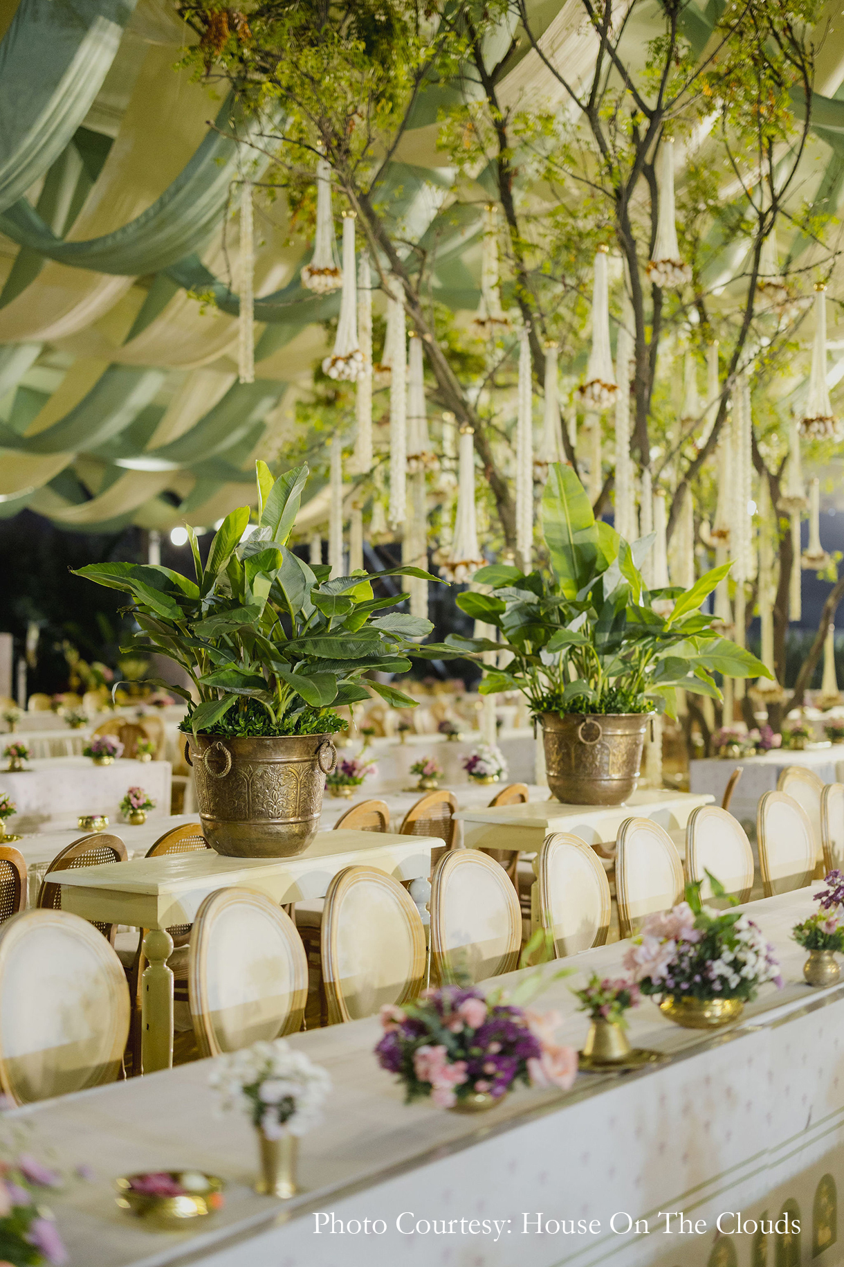 A wedding, an ancestral land, and a dream come true