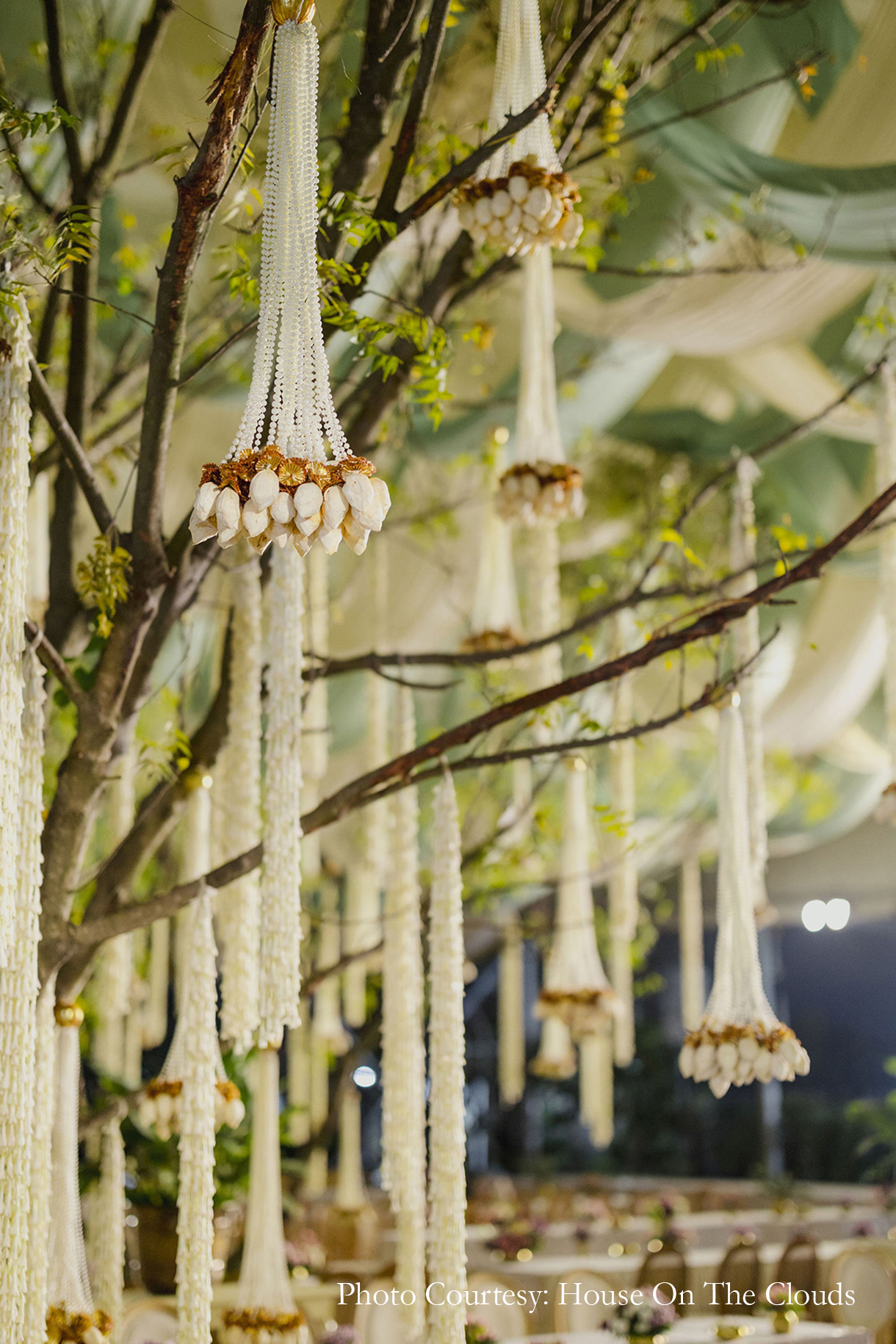 A wedding, an ancestral land, and a dream come true