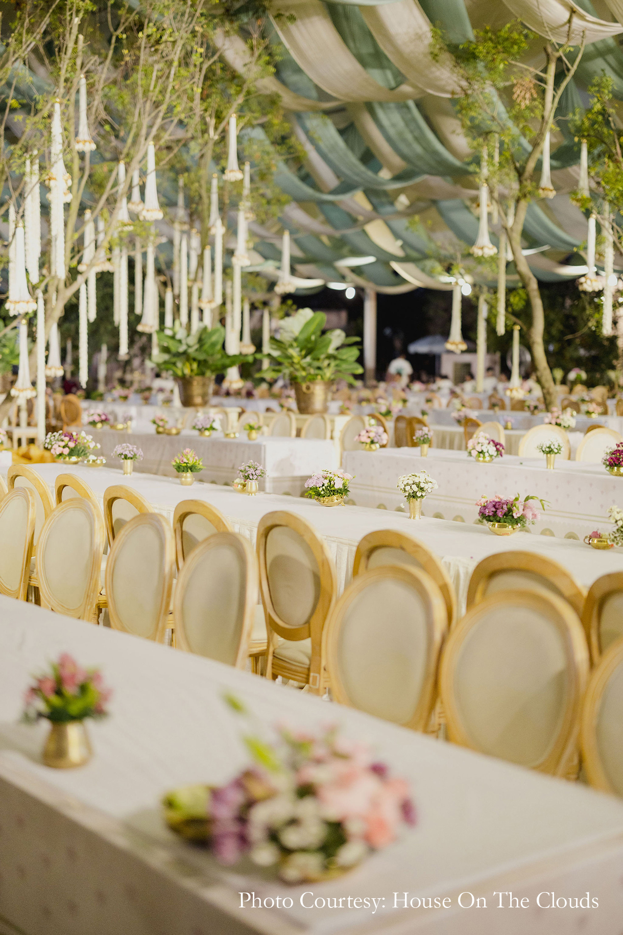 A wedding, an ancestral land, and a dream come true