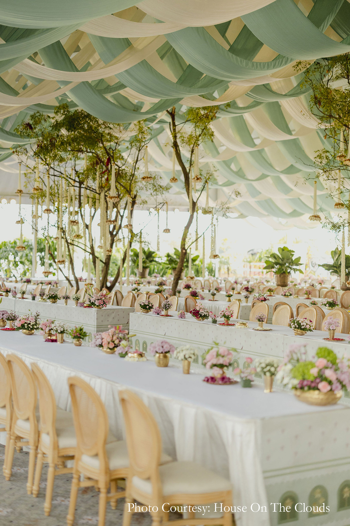 A wedding, an ancestral land, and a dream come true