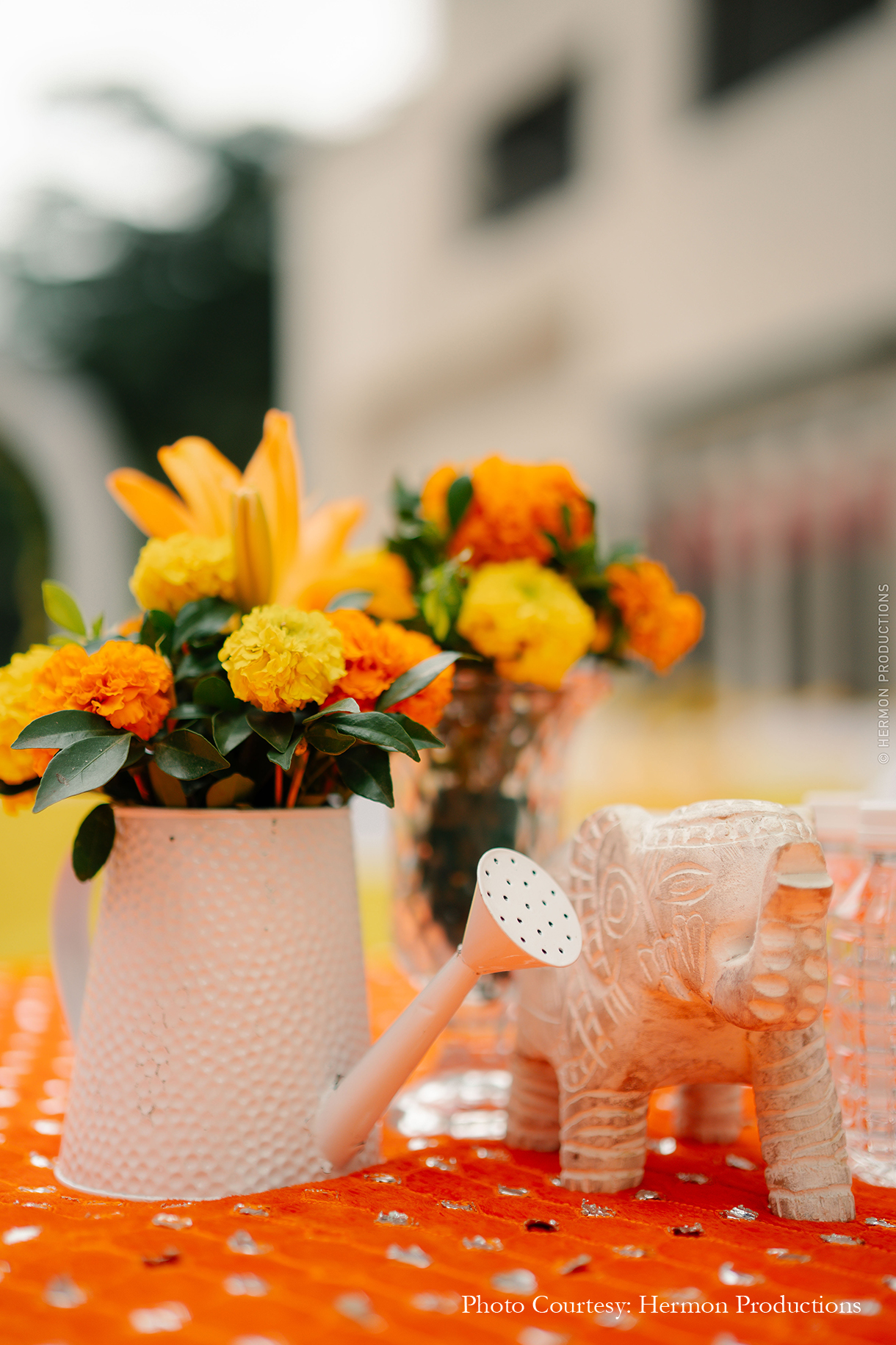 Shreyashi and Sourabh