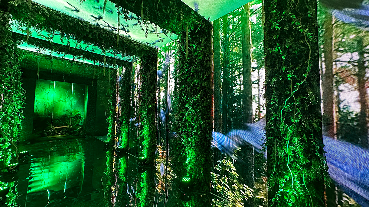 Tamanna and Nikunj, Grand Hyatt Kochi Bolgatty