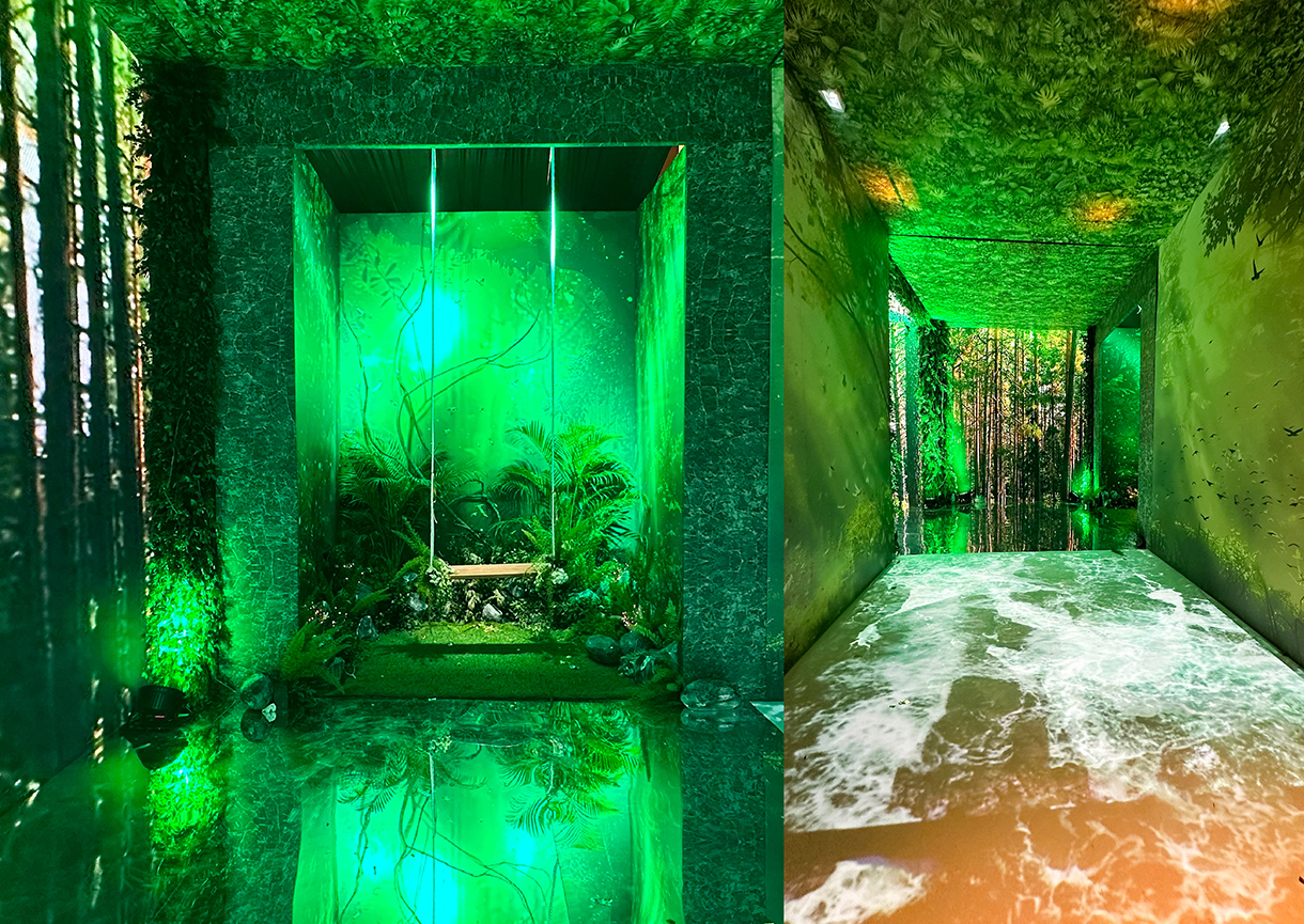 Tamanna and Nikunj, Grand Hyatt Kochi Bolgatty