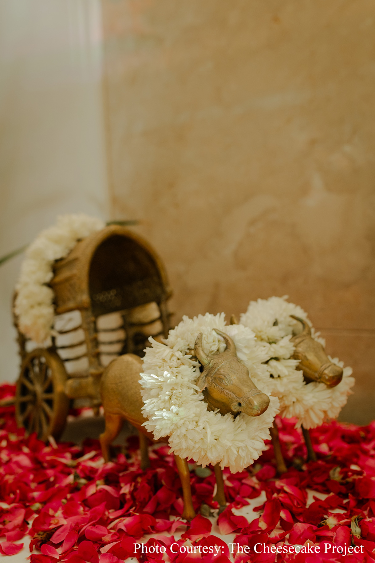 Tanya and Rushil, Mumbai