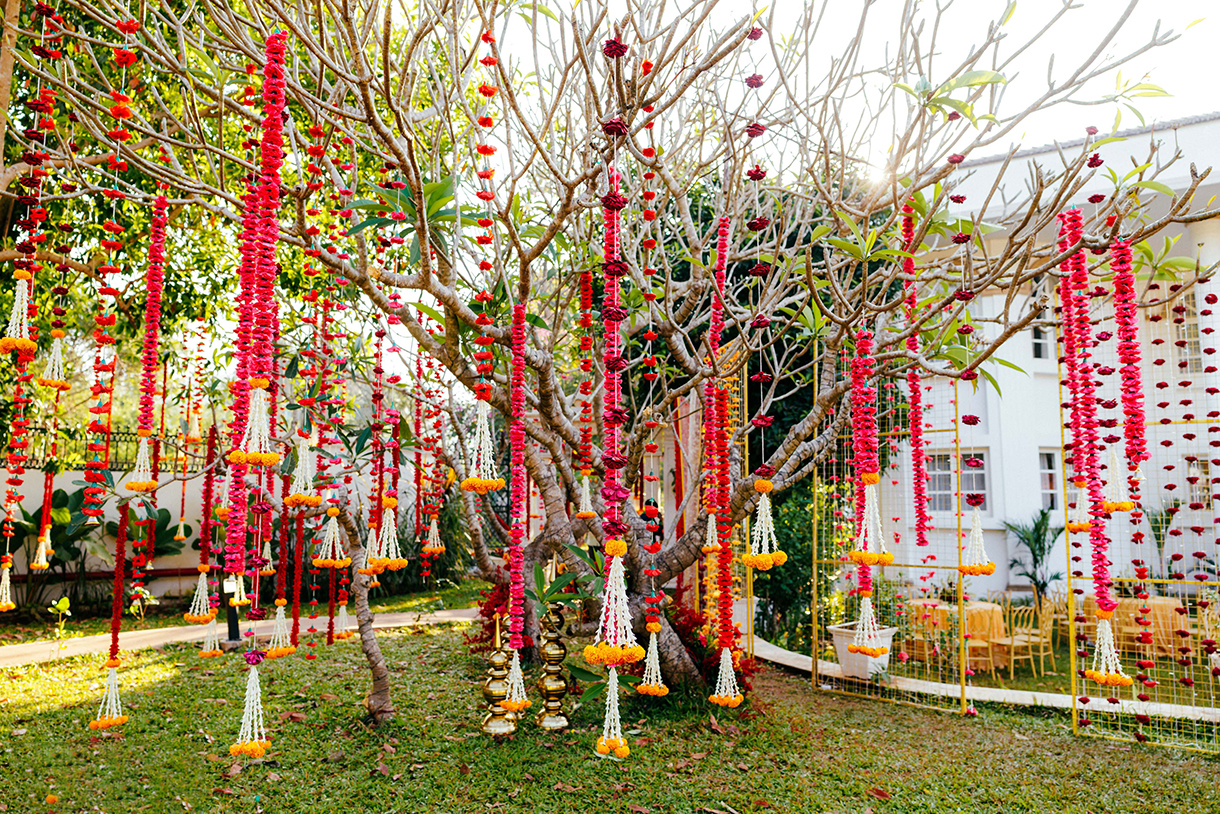 Vaibhavi and Dhananjay, Goa