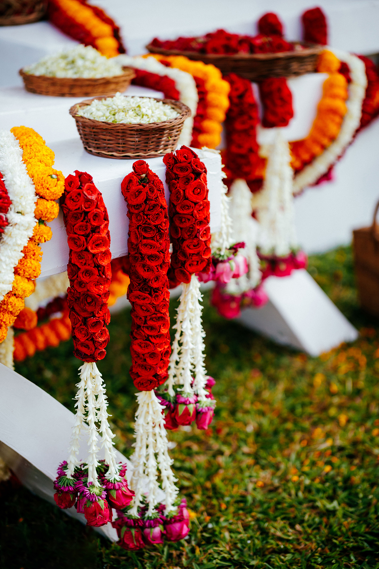 Vaibhavi and Dhananjay, Goa