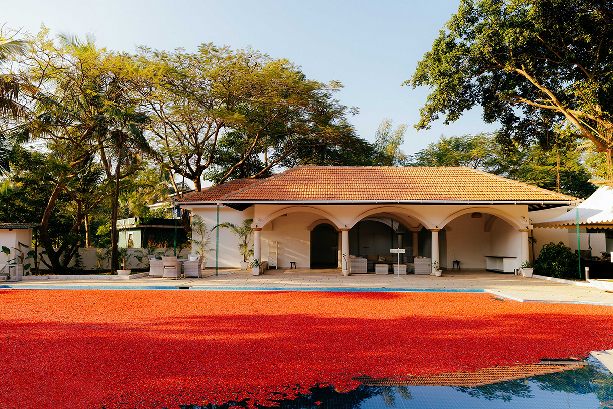 Vaibhavi and Dhananjay, Goa