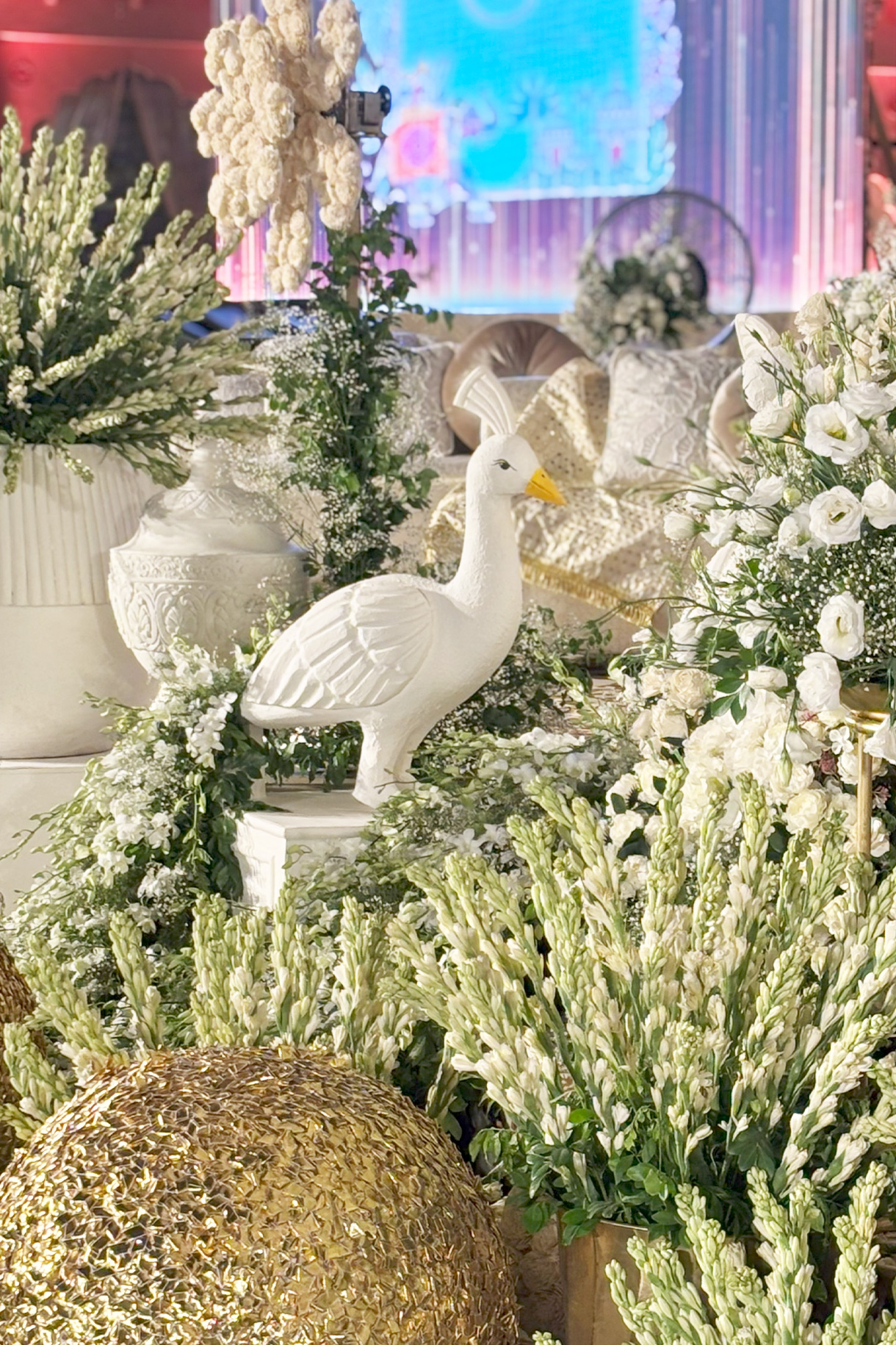 Yash Agarwal and Ayushi Tibrewala