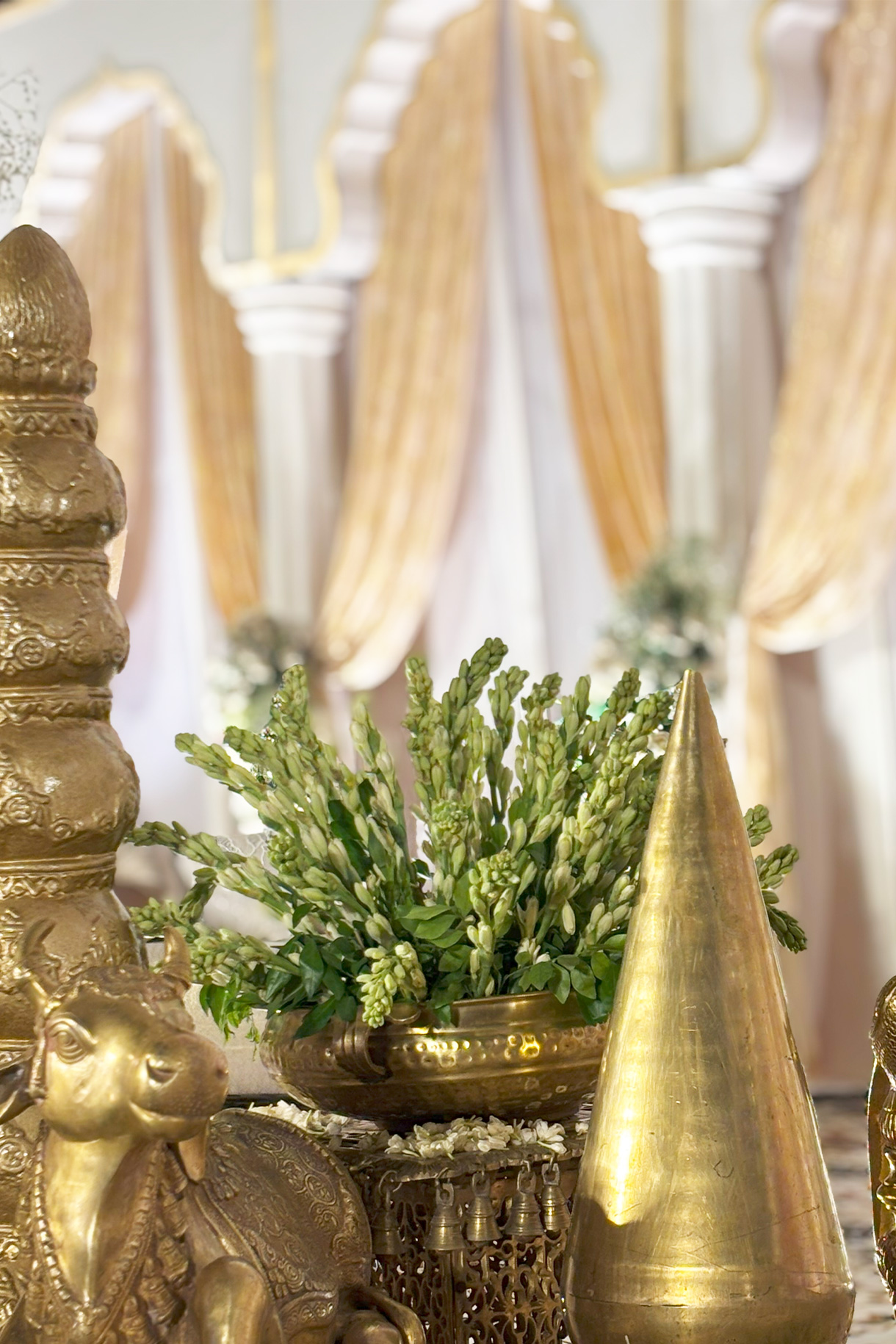 Yash Agarwal and Ayushi Tibrewala