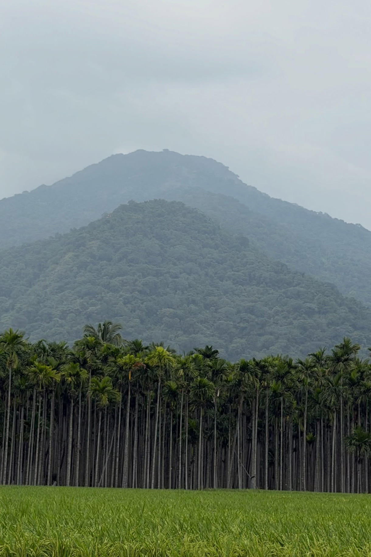 Samantha and Raj, Coimbatore