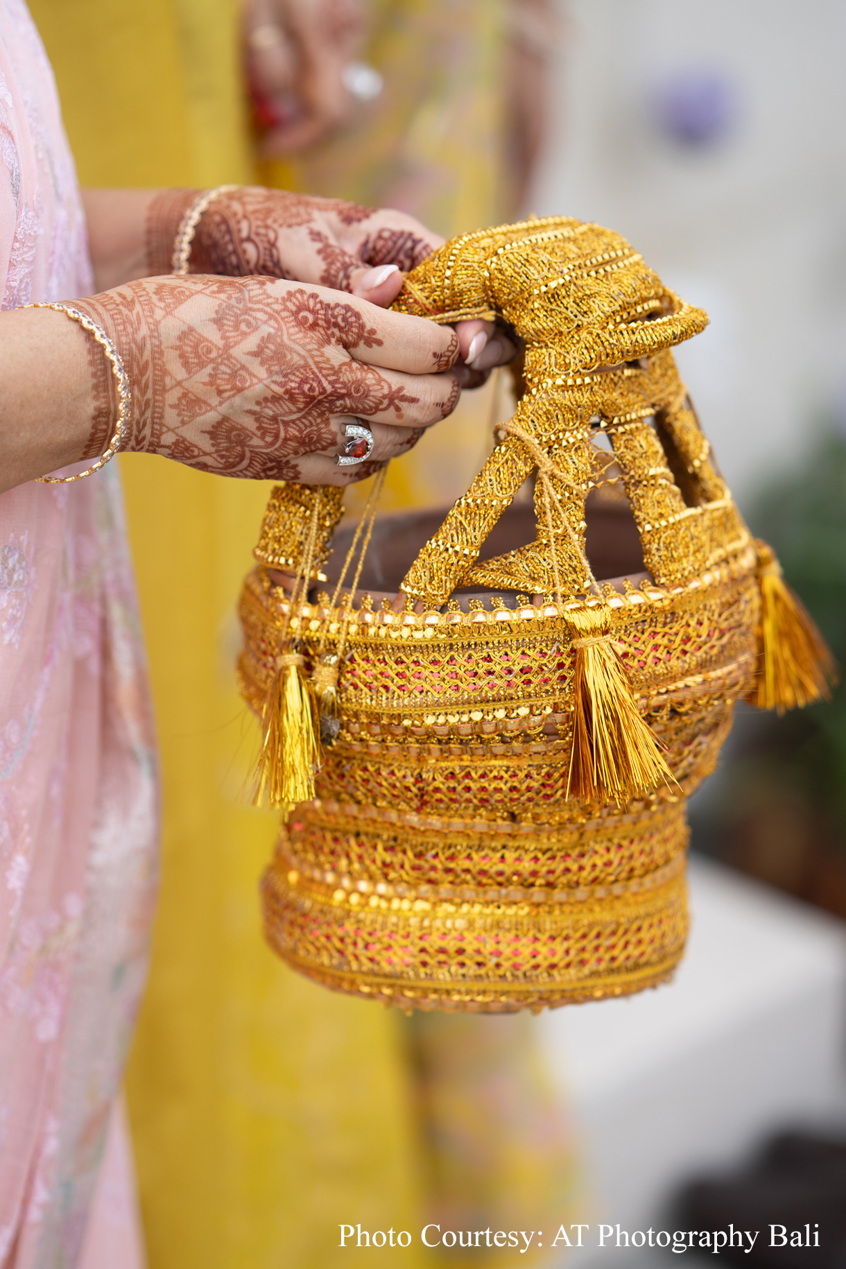 Aakriti and Saransh, Bali