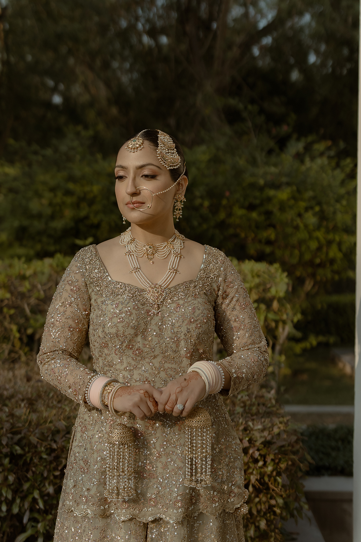 Bhavika and Amol, Ranthambore