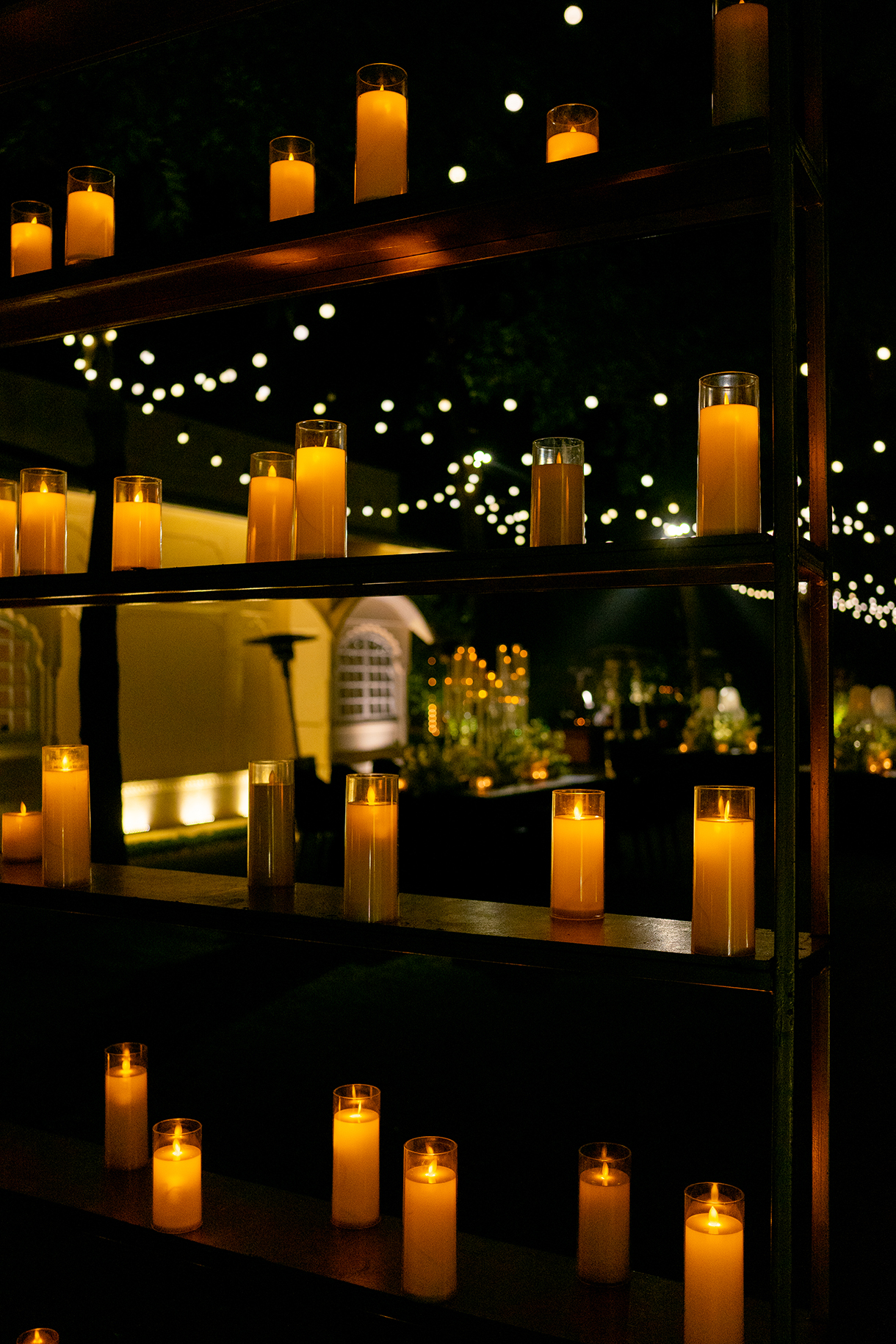 Bhavika and Amol, Ranthambore