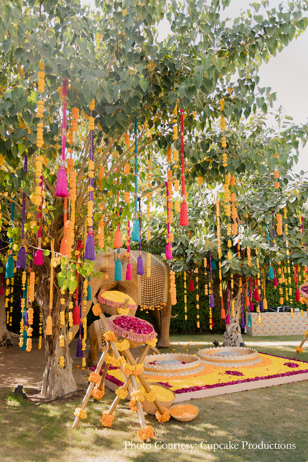 Ahana Raheja and Yash Patel, Gujarat