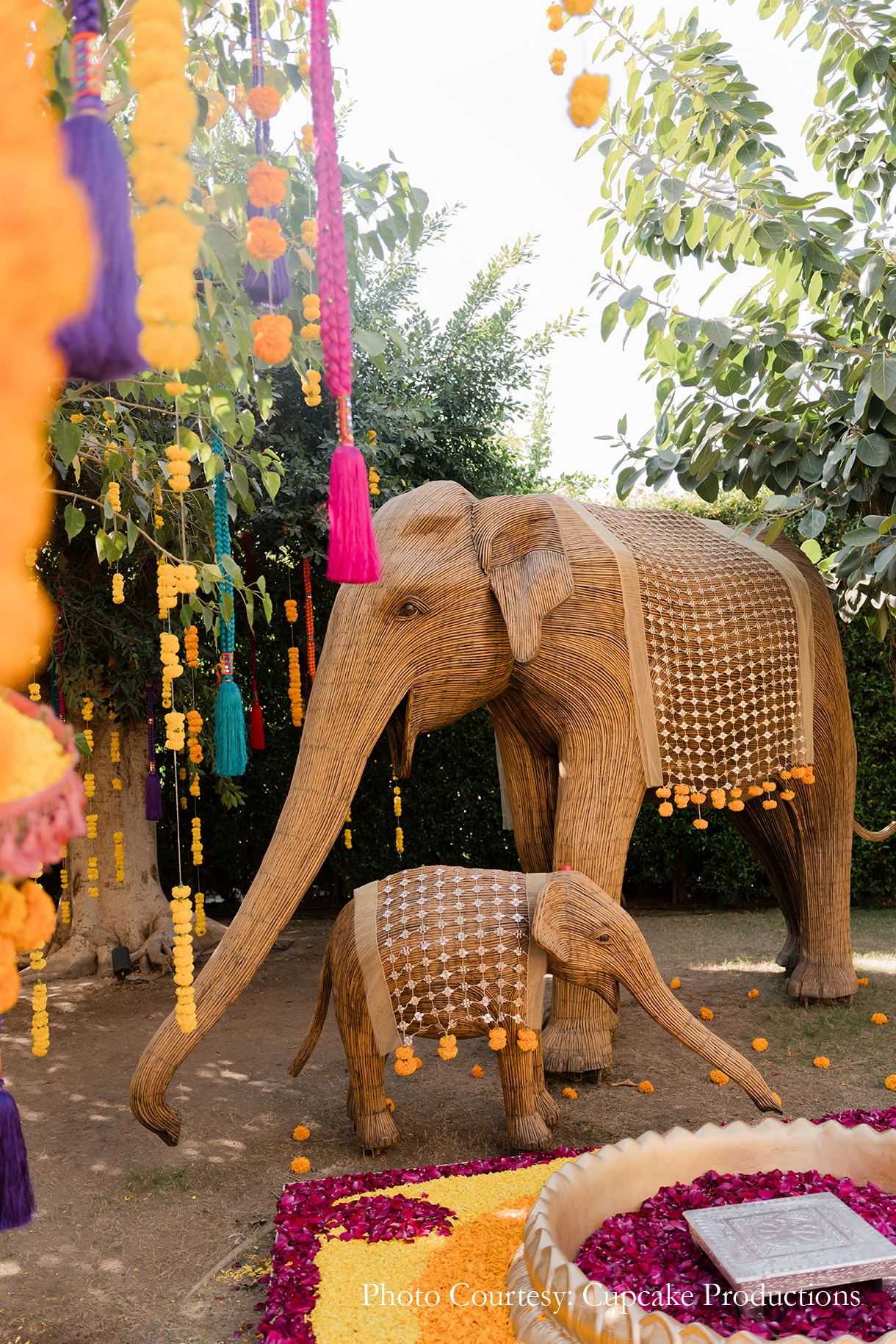 Ahana Raheja and Yash Patel, Gujarat