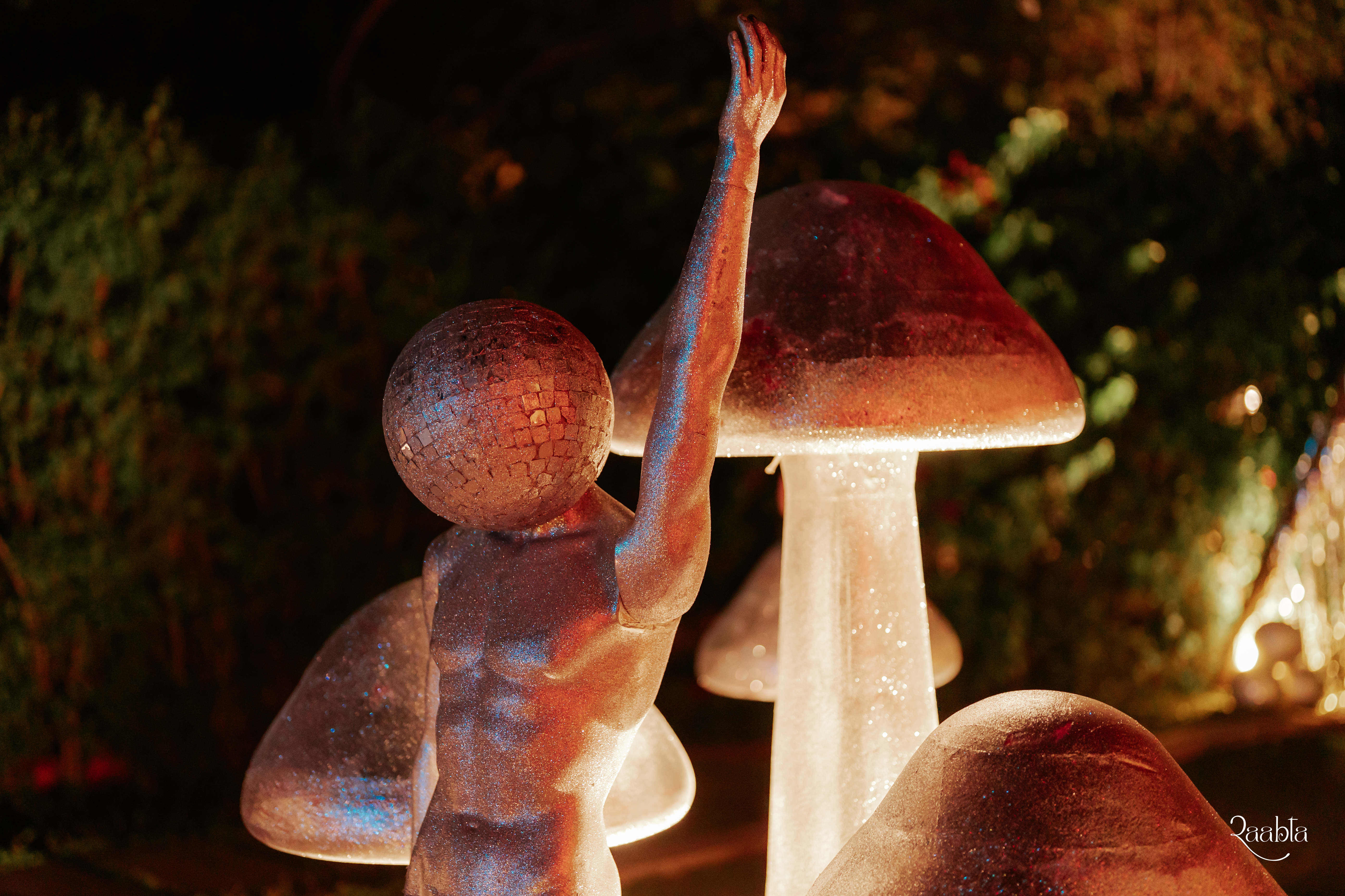 Aishni Katariya Jain and Aman Jain, Chandigarh