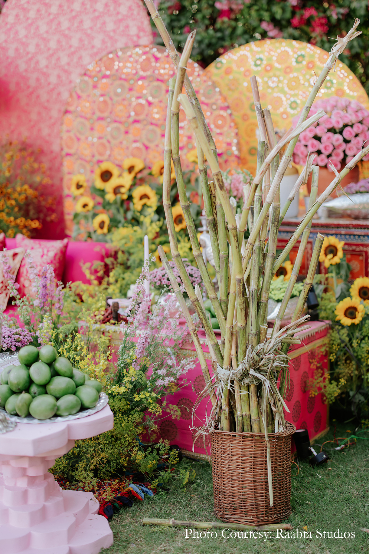 Aishni Katariya Jain and Aman Jain, Chandigarh