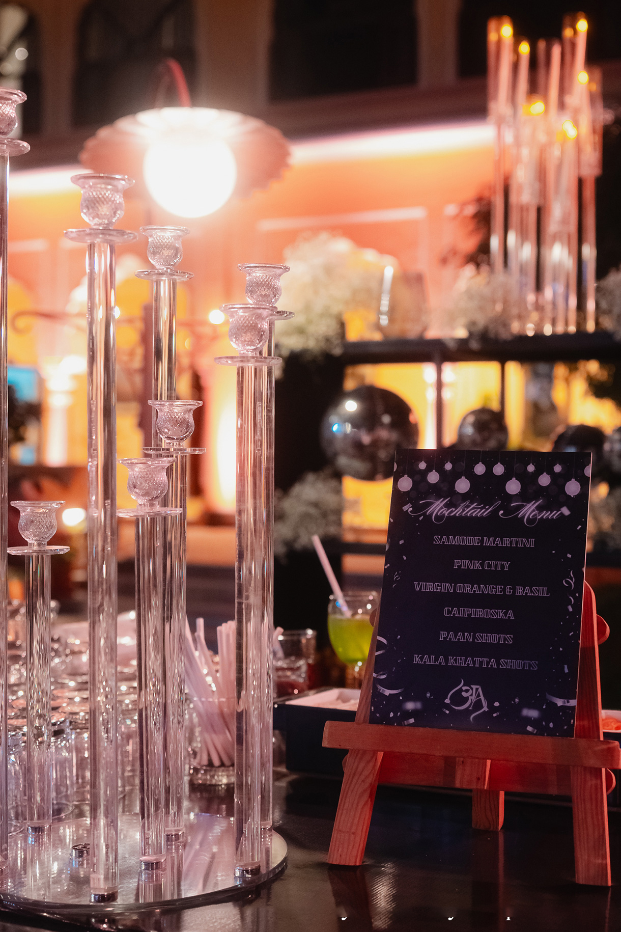 Akhila and Anand, Rajasthan