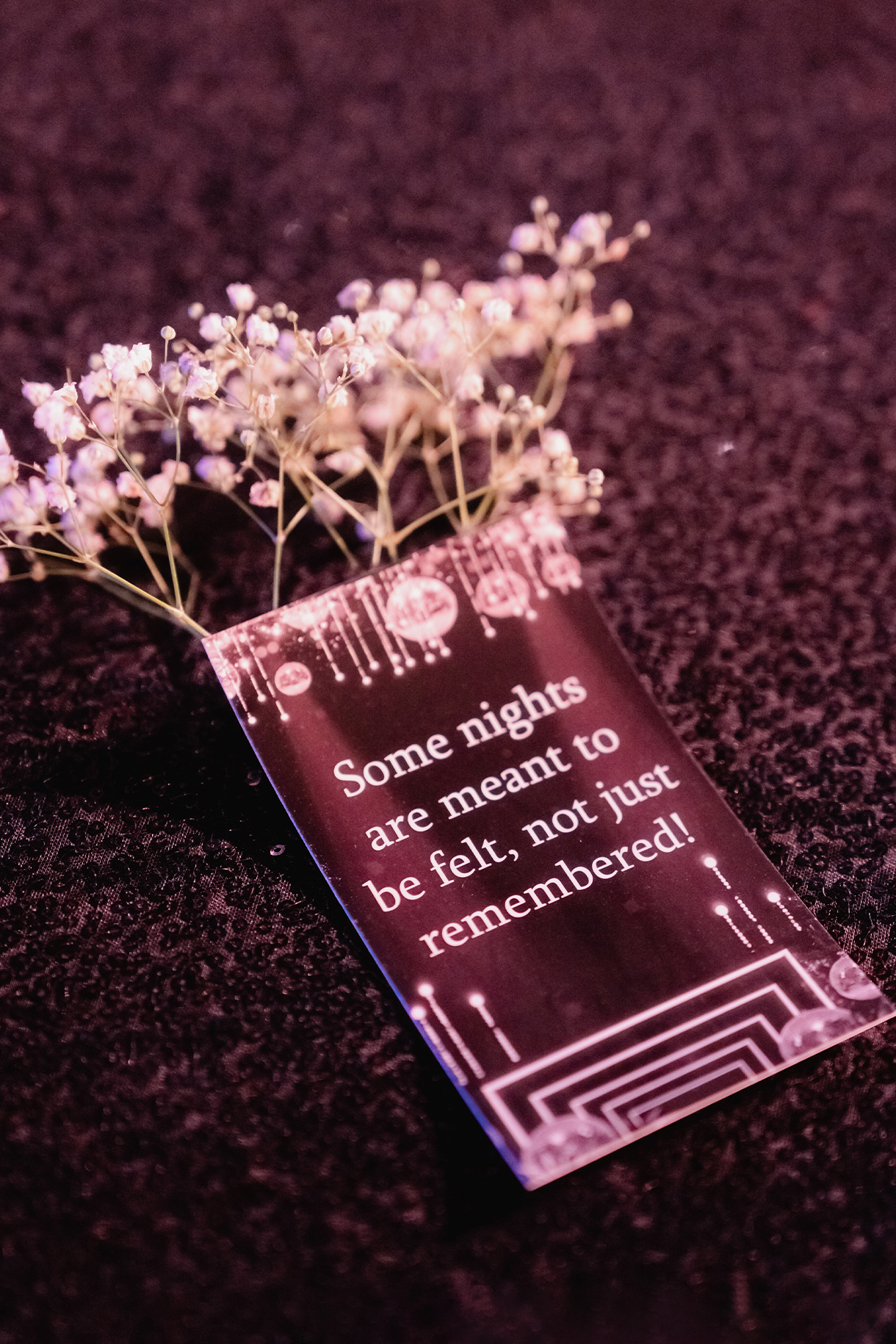 Akhila and Anand, Rajasthan