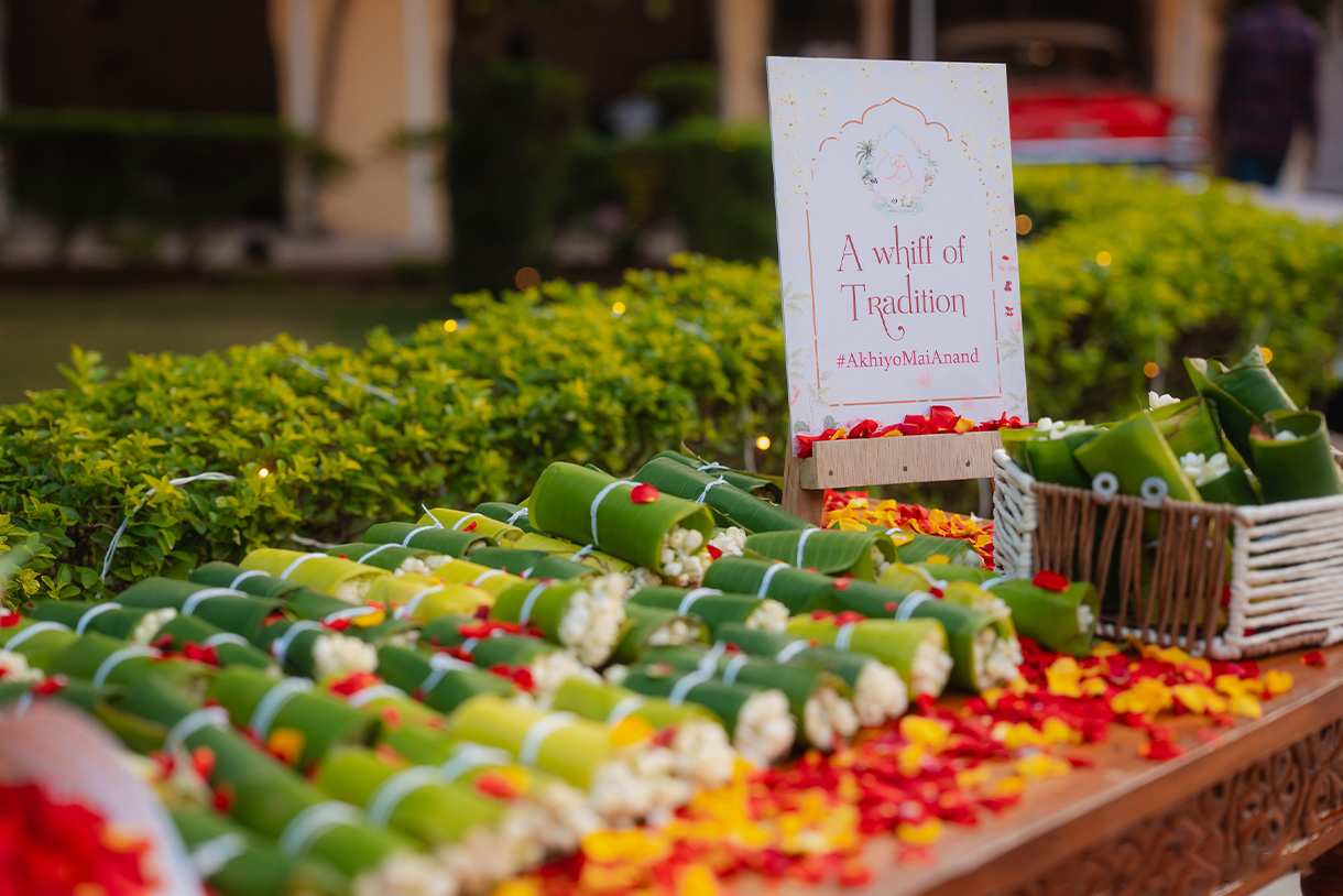Akhila and Anand, Rajasthan