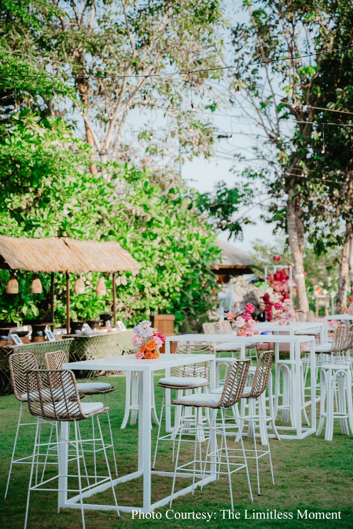 Anisha and Roshiv, Bali