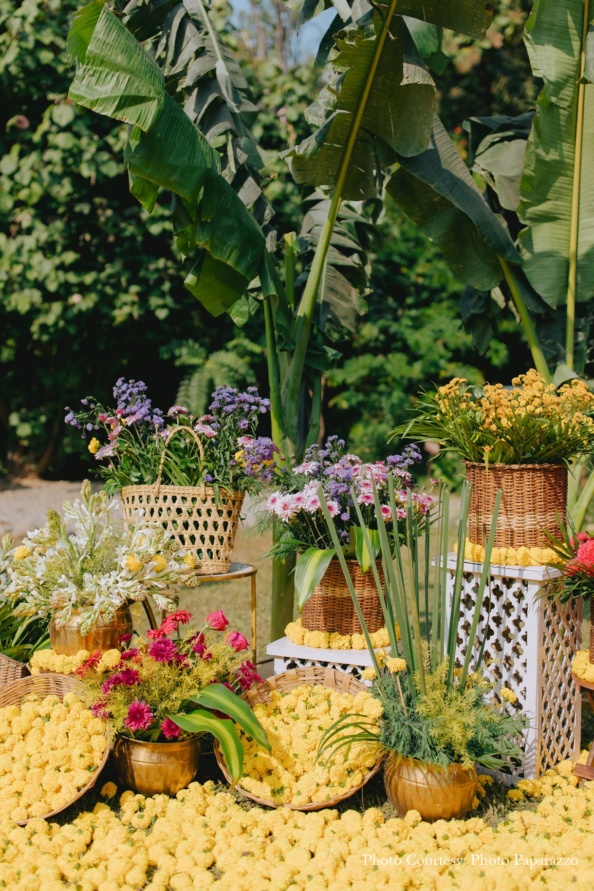 Arushi and Hemang, Aahana Resort & Spa, Jim Corbett