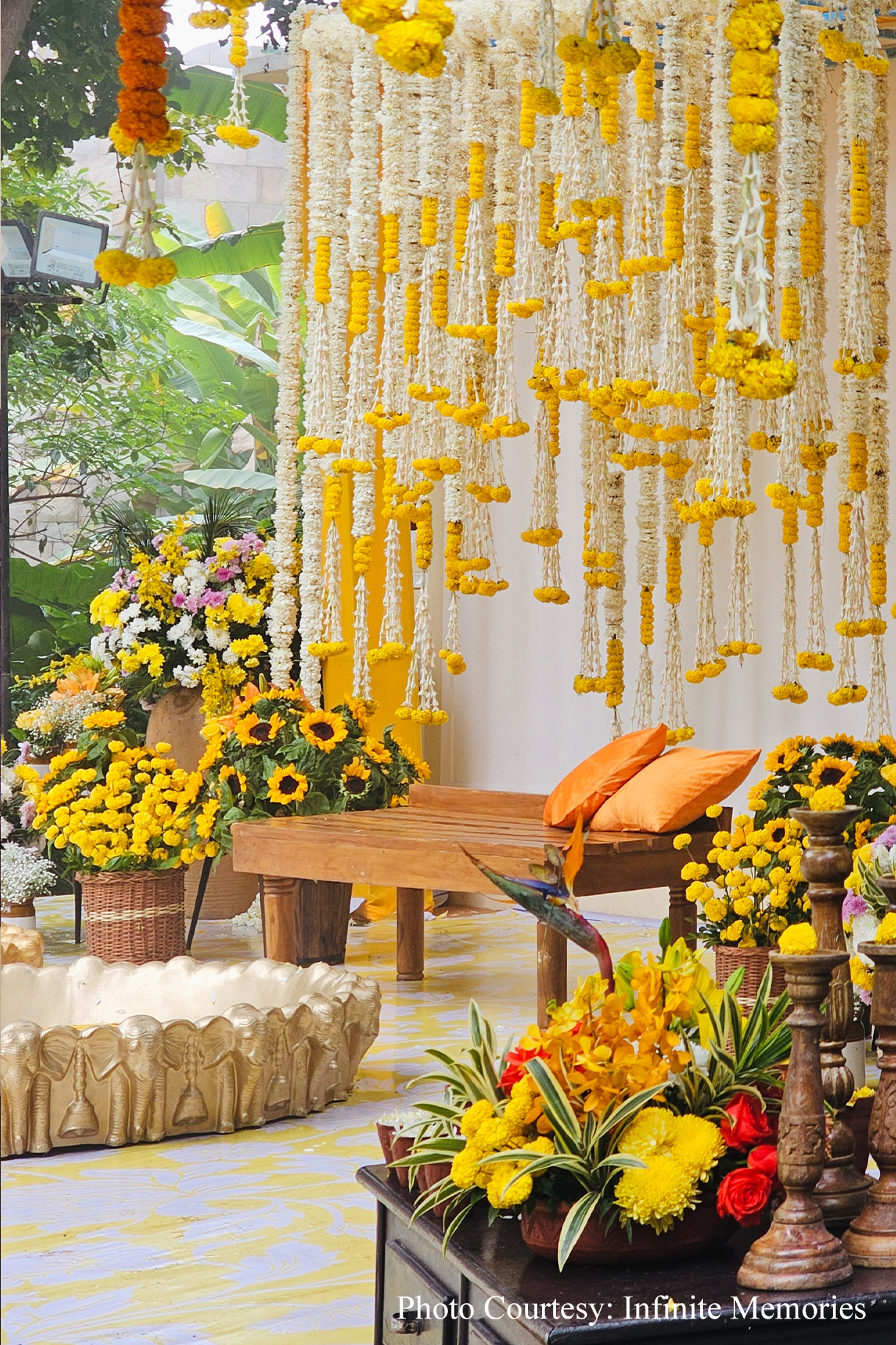 Bhavika and Amol, Ranthambore