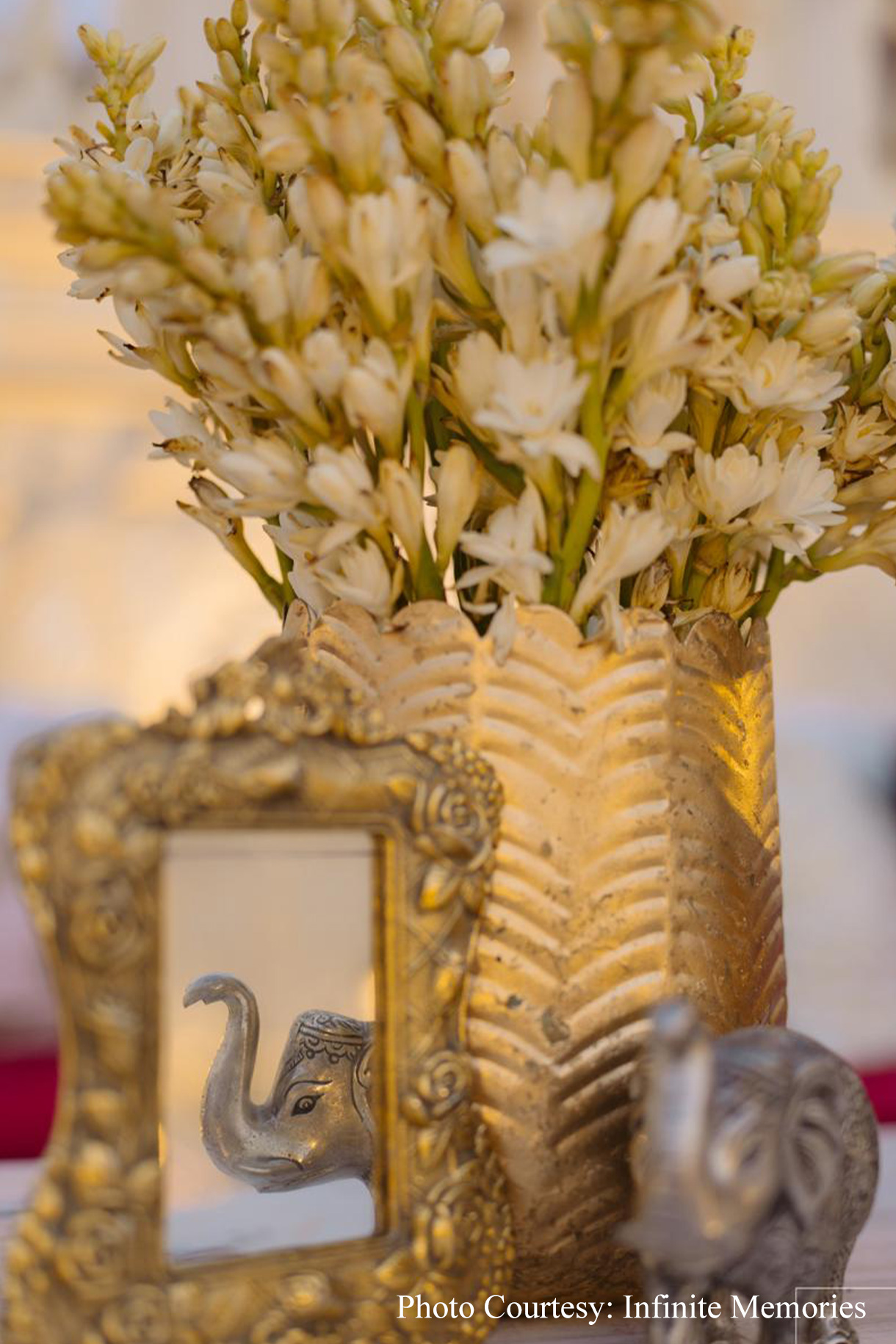 Bhavika and Amol, Ranthambore