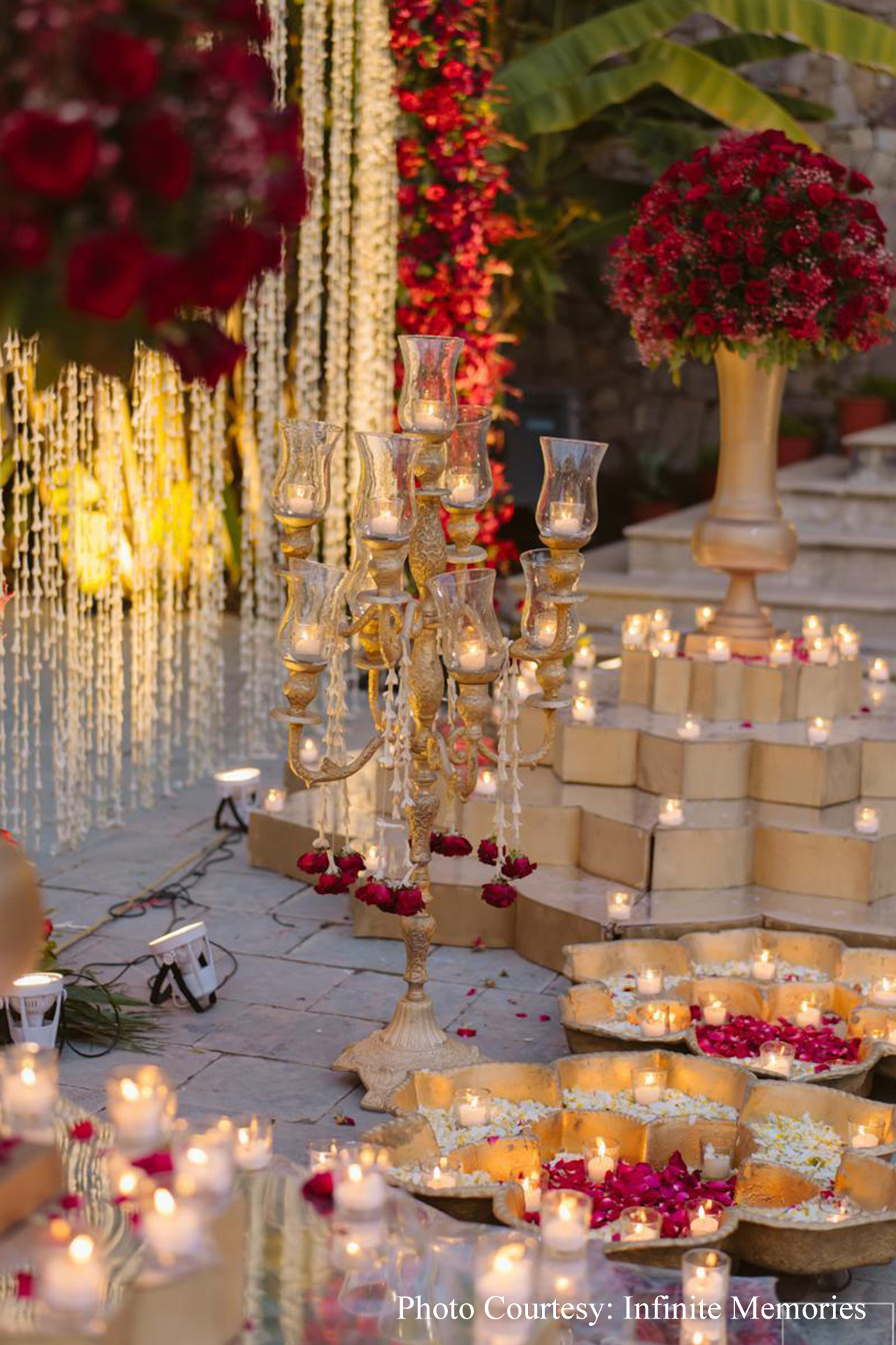 Bhavika and Amol, Ranthambore