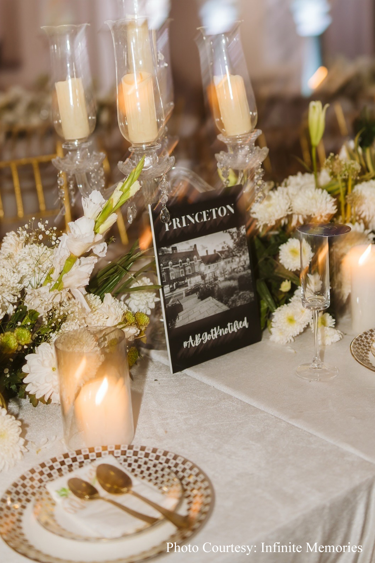 Bhavika and Amol, Ranthambore