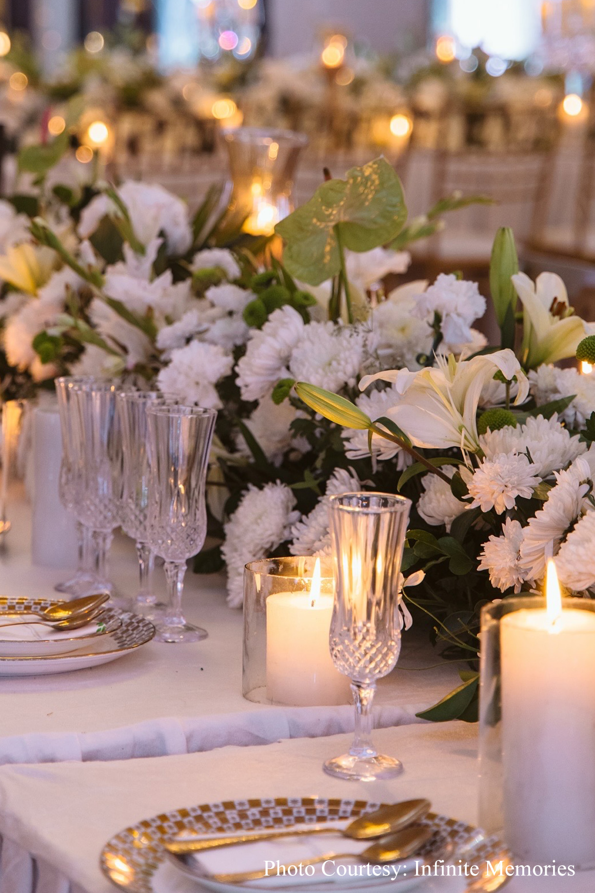 Bhavika and Amol, Ranthambore