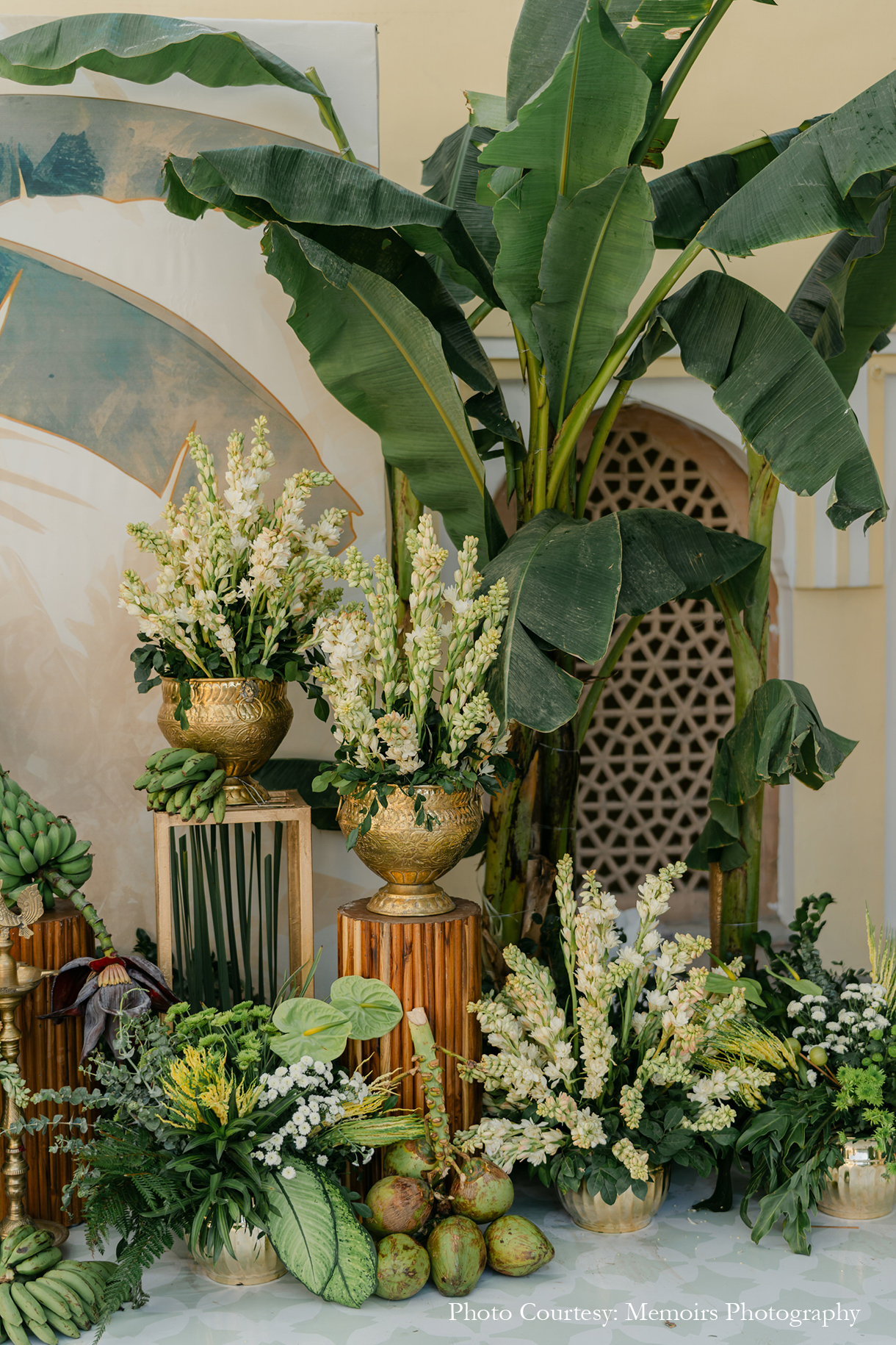 Devika and Anjul, Jaipur