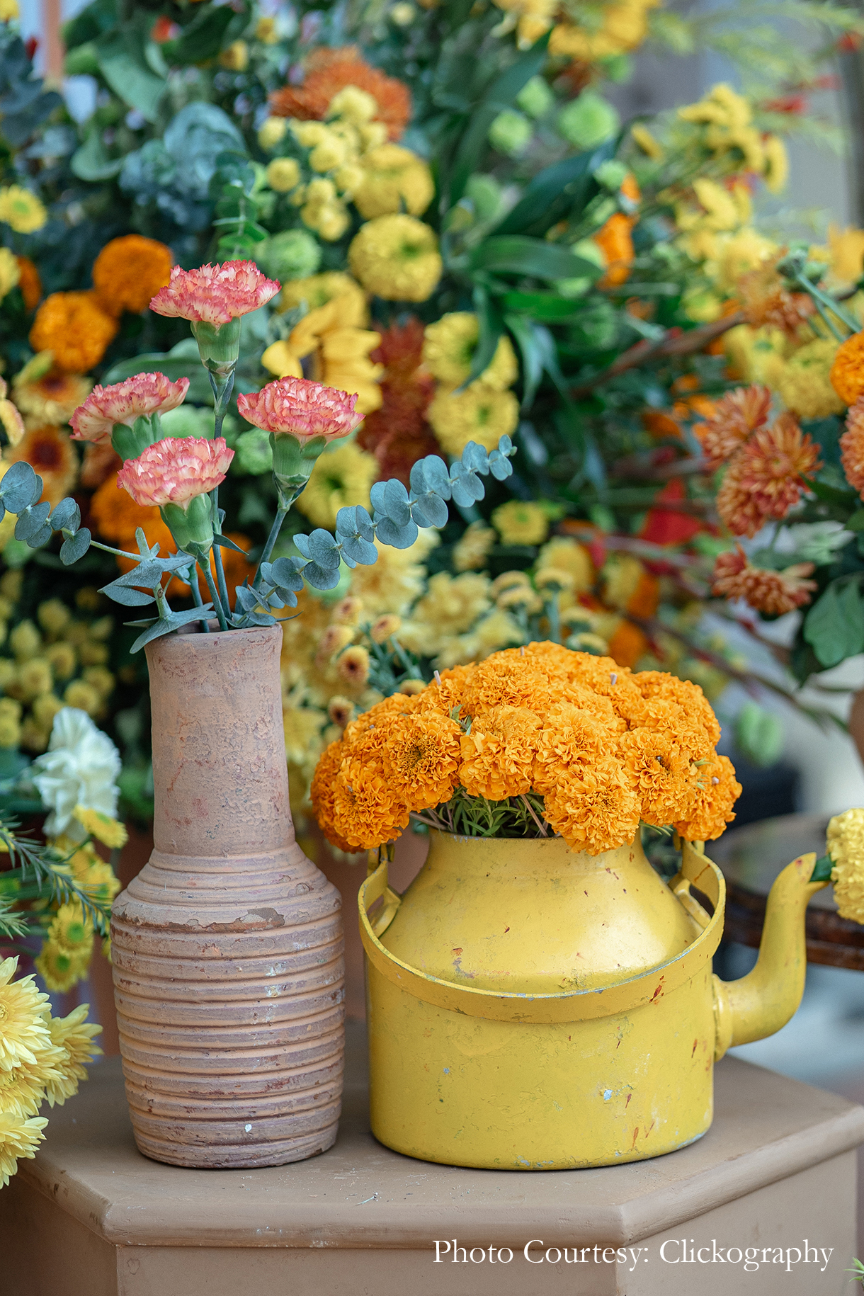 Aishwarya Srivastav and Raghav Mehra, Rajasthan