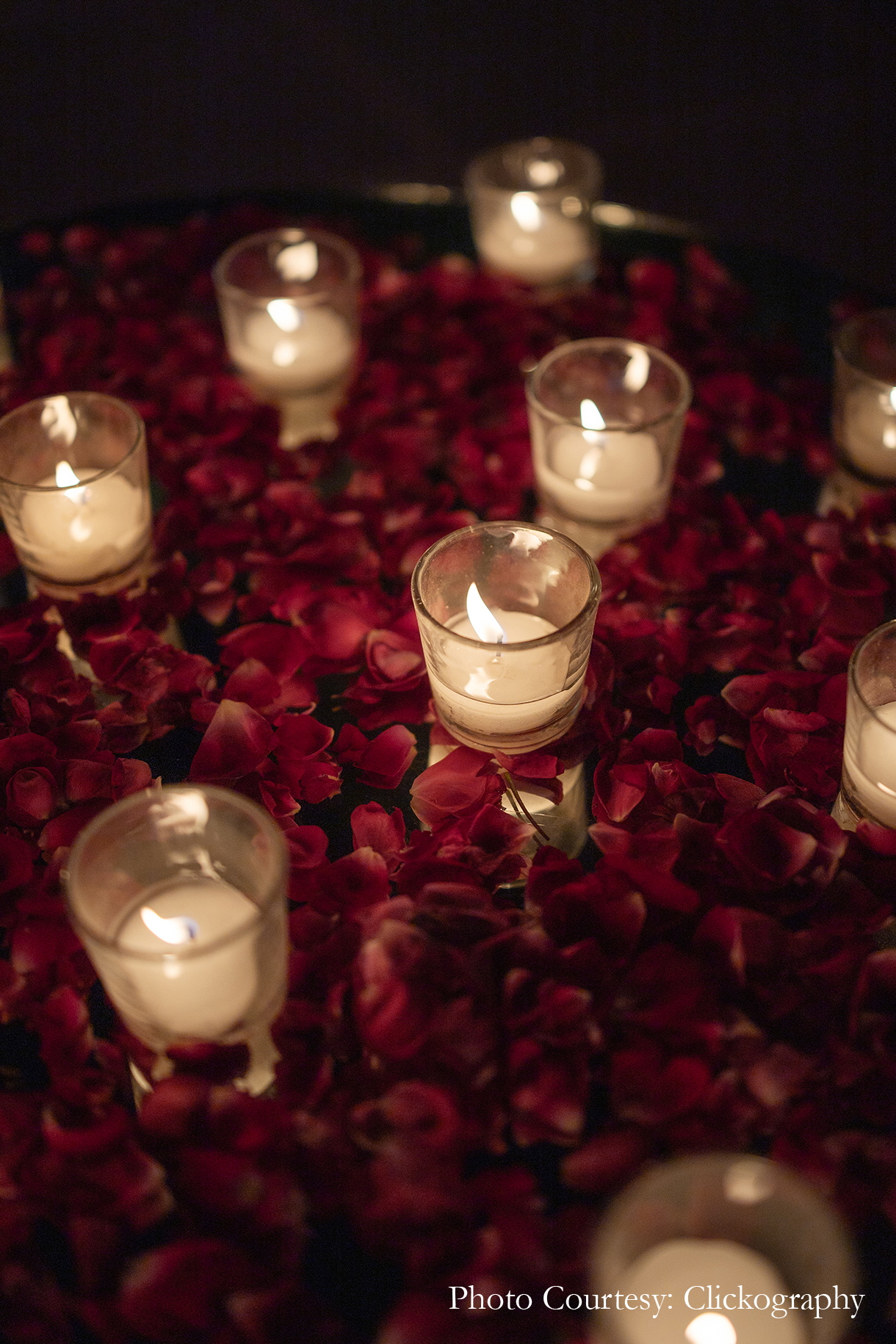 Aishwarya Srivastav and Raghav Mehra, Rajasthan