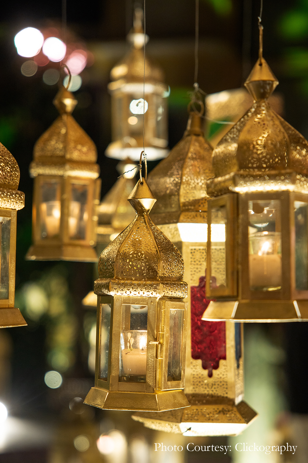 Aishwarya Srivastav and Raghav Mehra, Rajasthan