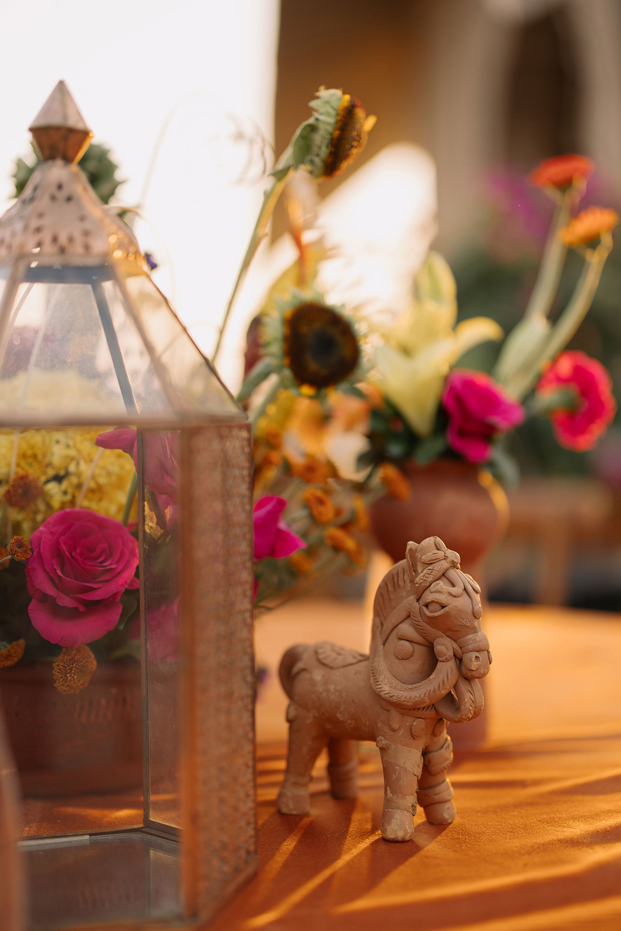 Naintara and Abhinav, Fairmont Jaipur