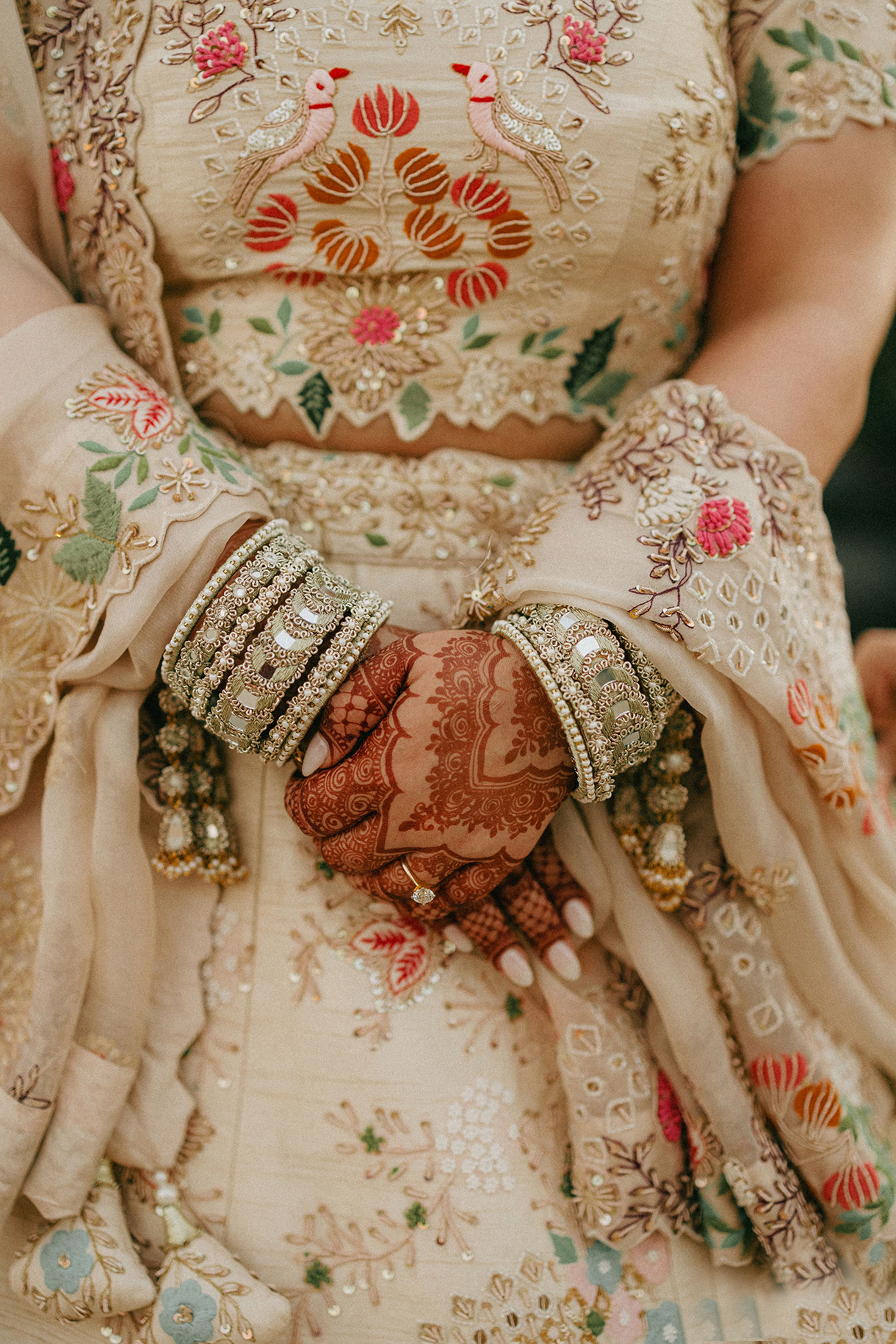 Naintara and Abhinav, Fairmont Jaipur