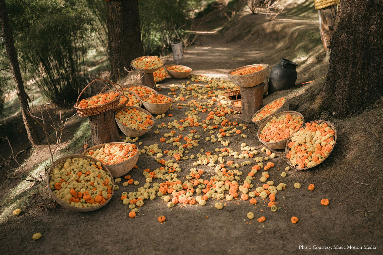 Neha Chohan Shaikh and Sameer Shaikh, Shimla