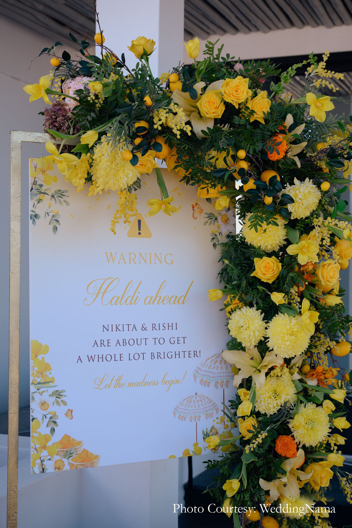 Nikita Agarwal and Rishi Khanna, Mykonos