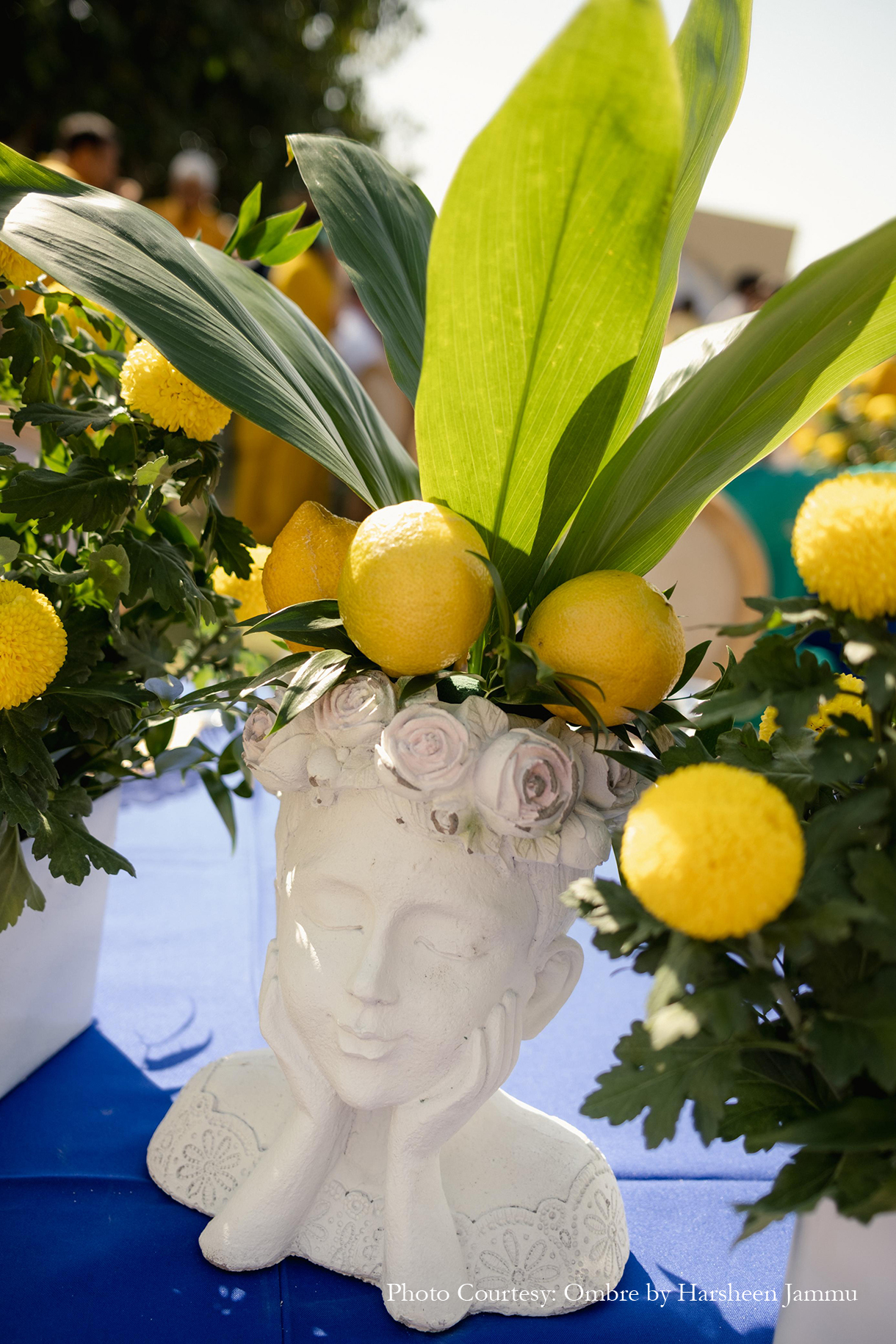 Priya and Sumeet, Fairmont Bab Al Bahr, Abu Dhabi