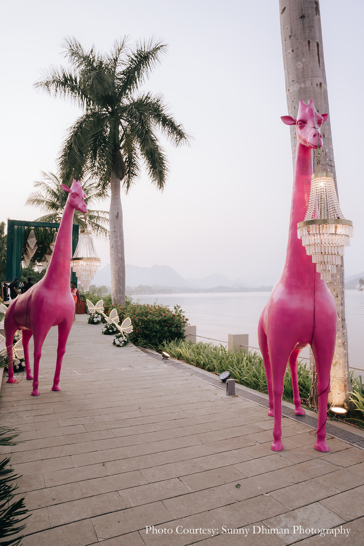 Roshni and Noorsimran Sanghera, Udaipur
