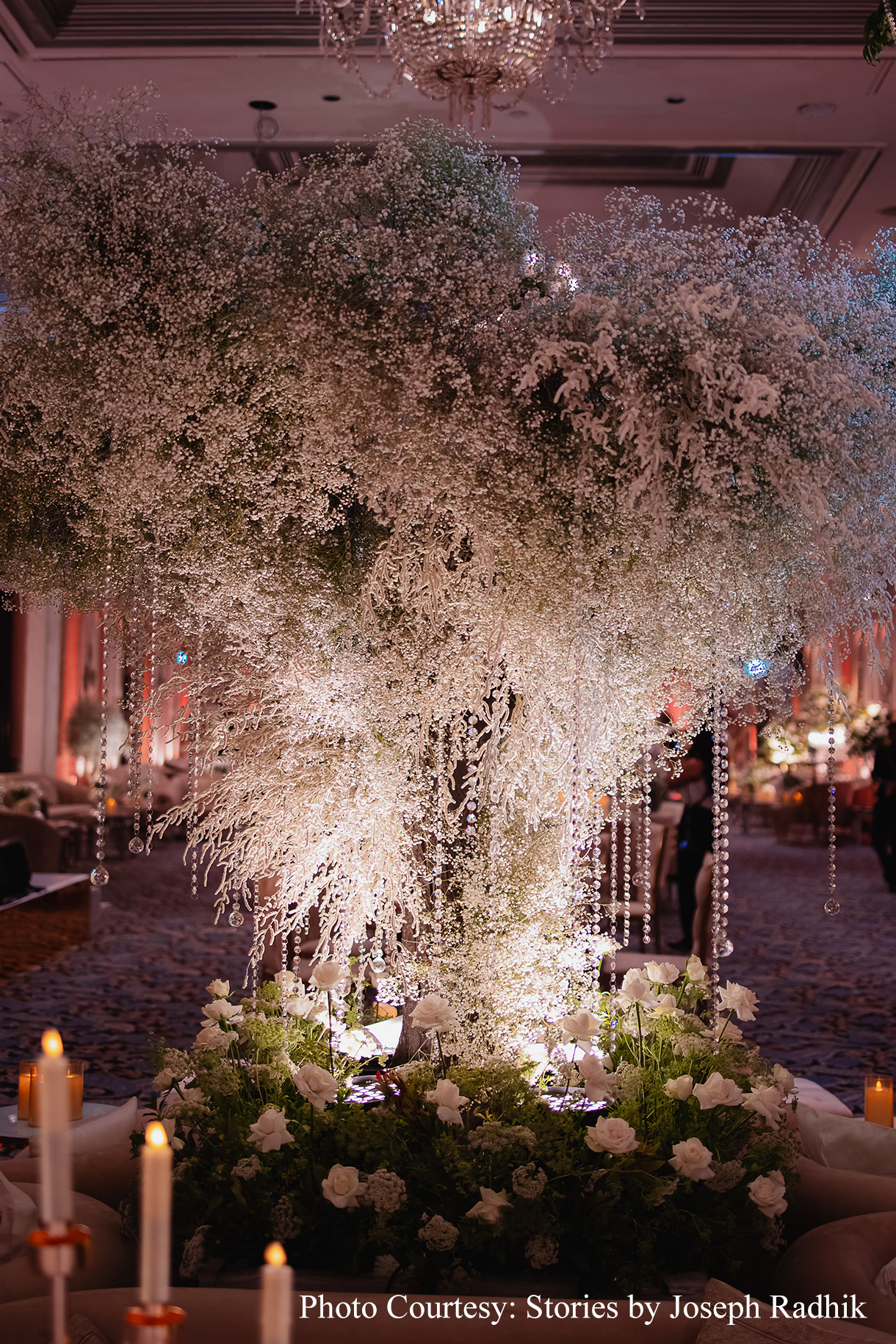 Rutuja and Jinesh, Udaipur
