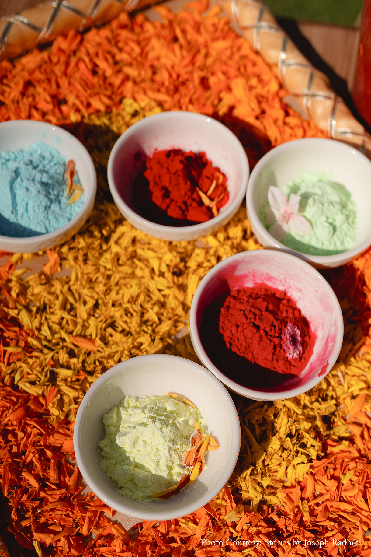 Sahiba and Anirudh, Udaipur