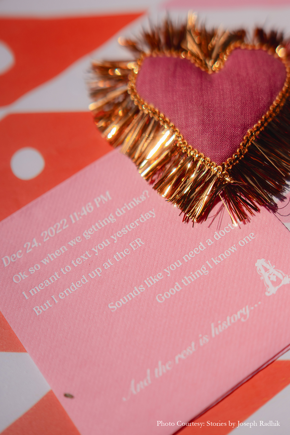 Sahiba and Anirudh, Udaipur